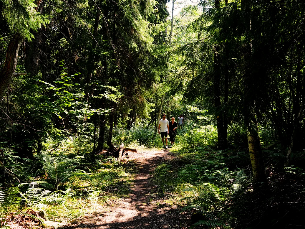 P7263849_lr.jpg