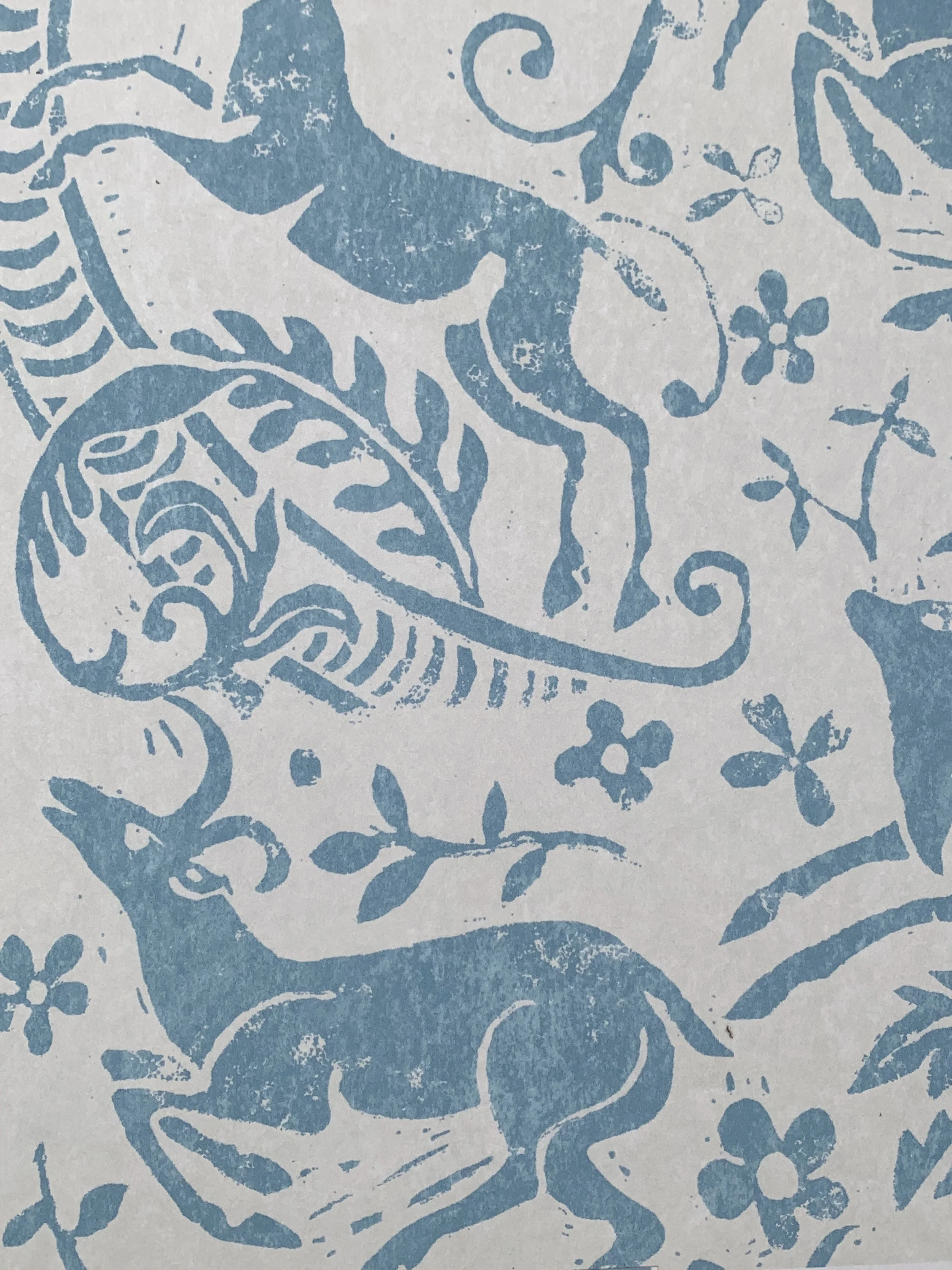 BATTLE CORNFLOWER .jpg