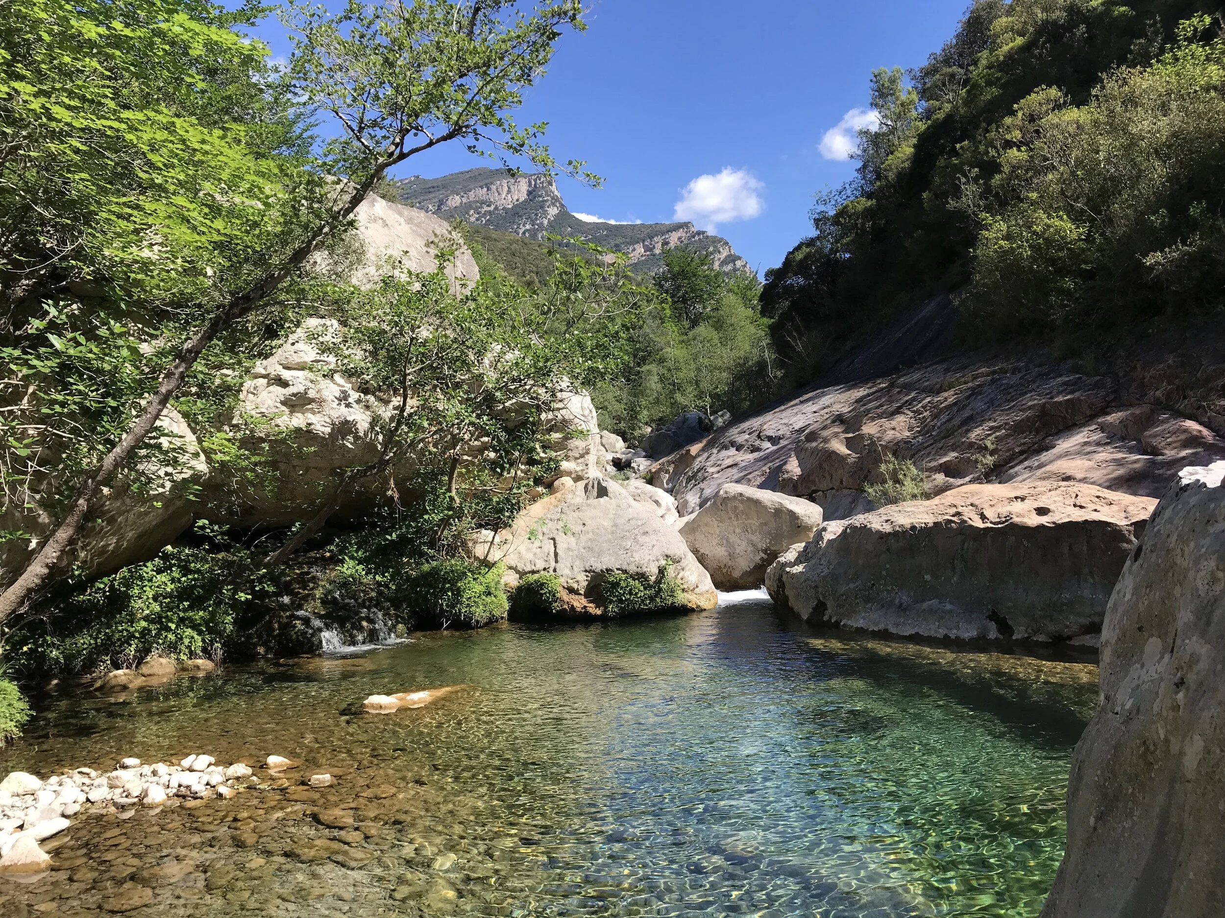 New Hiking Day Tour to the Pyrenees Mountains of Alta Garrotxa