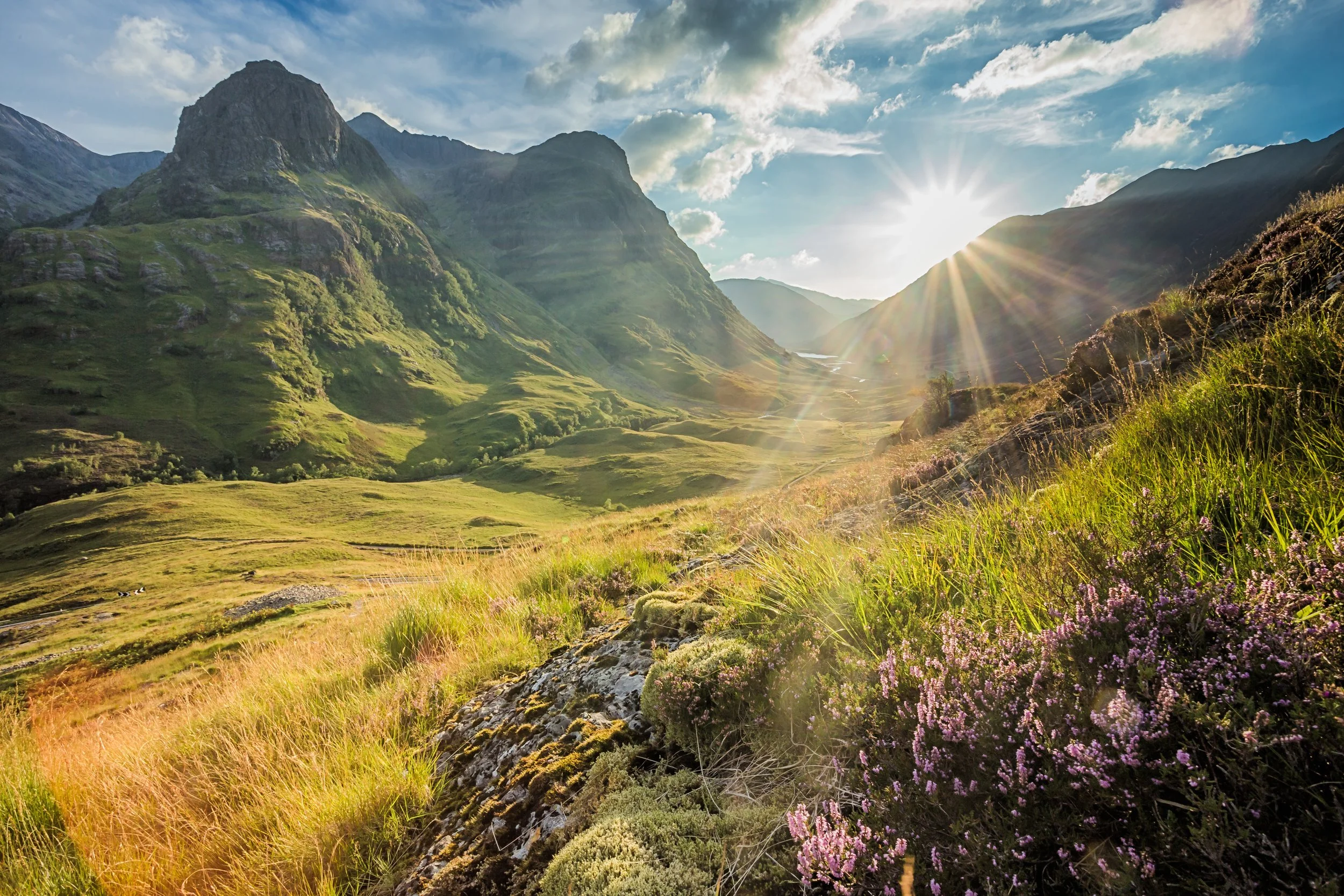 AdobeStock_214473195.jpeg