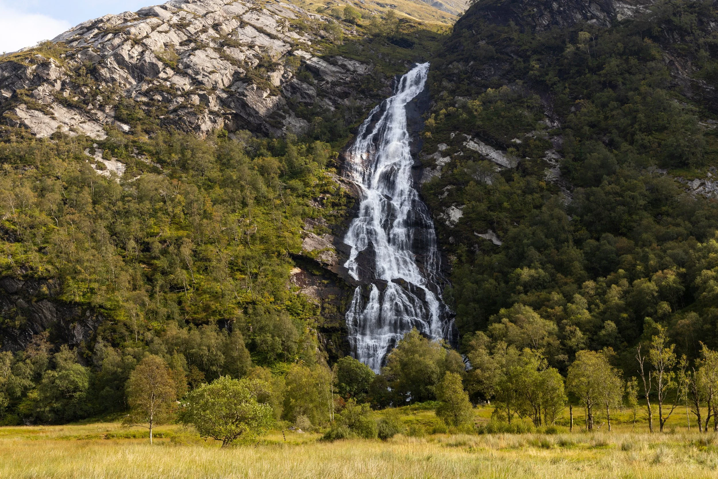 AdobeStock_1316715113.jpeg