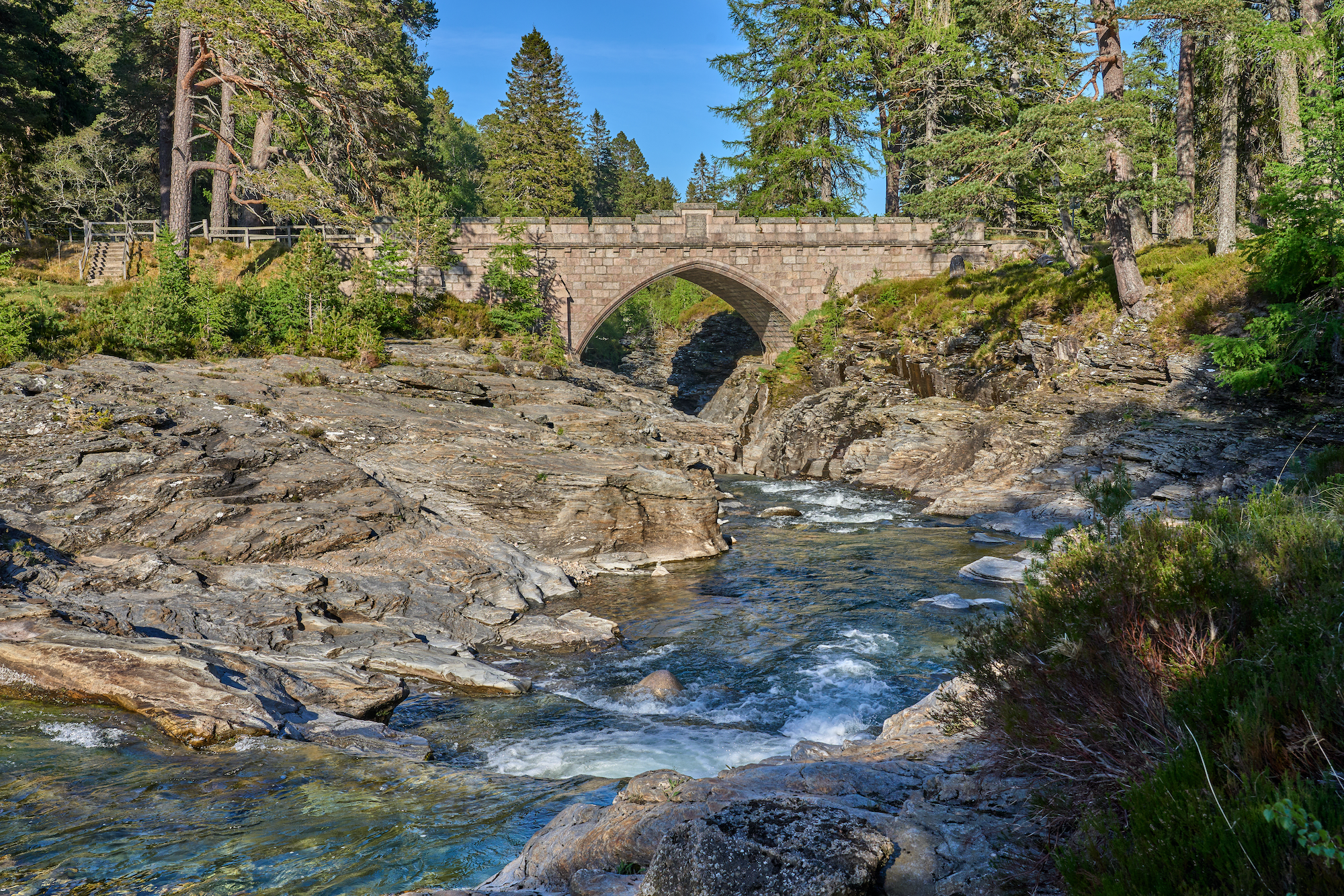 AdobeStock_1654959363.png