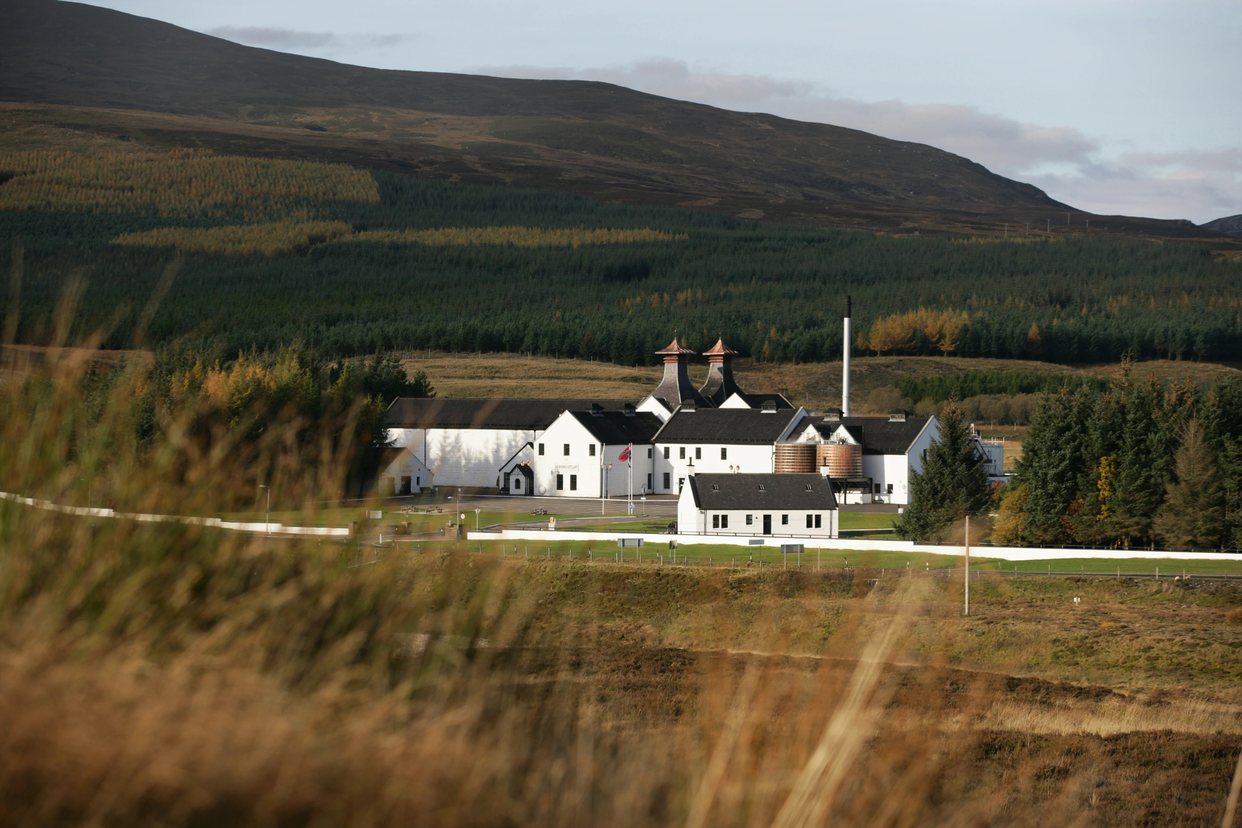 imgi_97_fb81c6d486d47e05aa6b8a87c82314b849bfb482.png