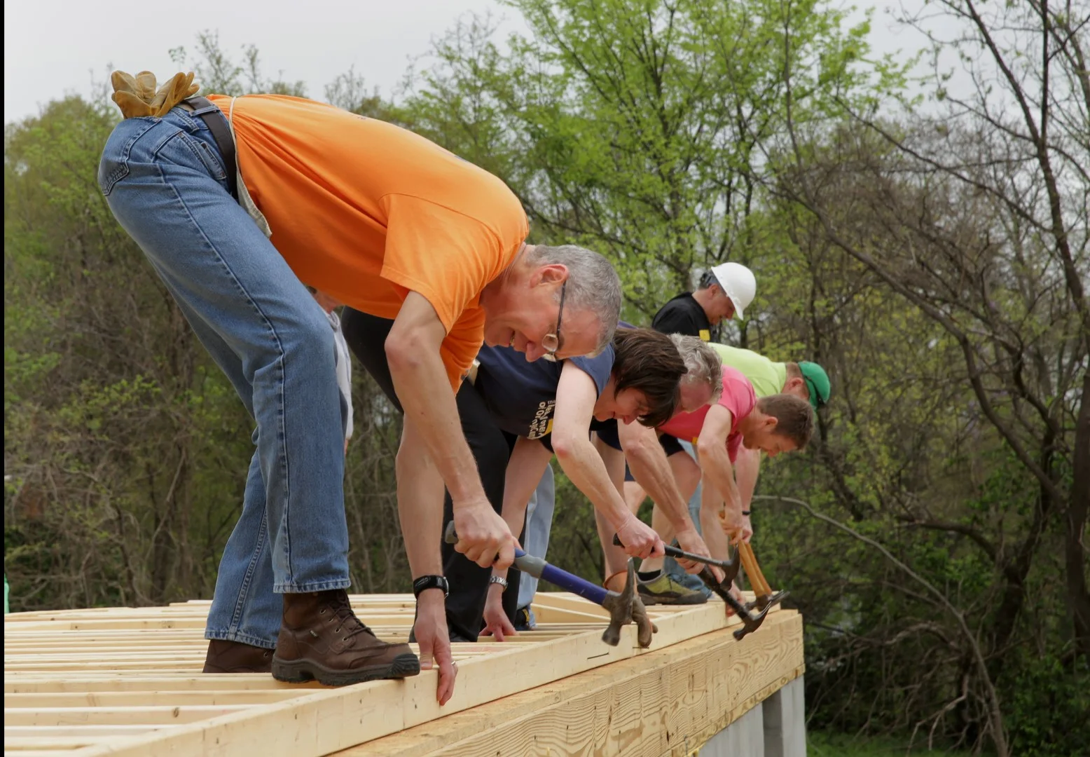 HABITAT.CEO.049 (Large).JPG