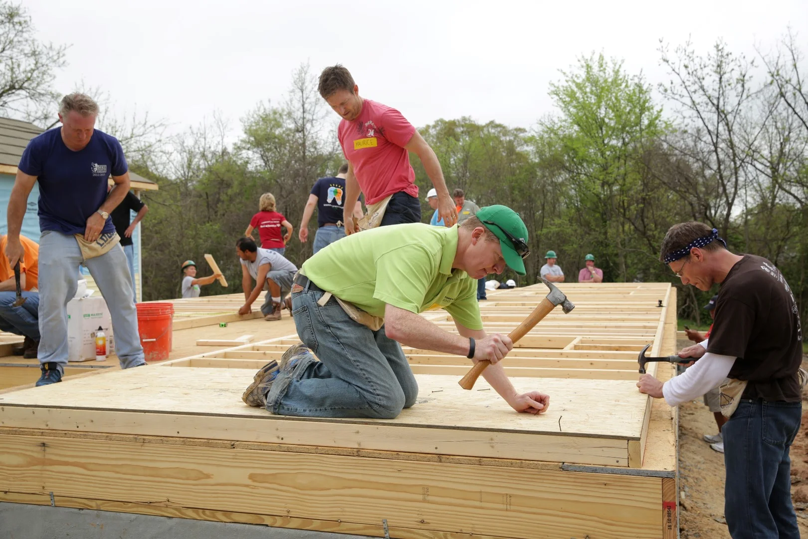 HABITAT.CEO.062 (Large).JPG