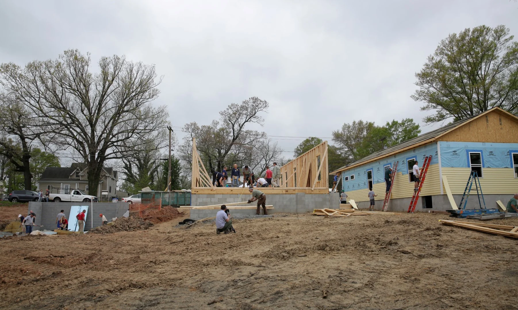 HABITAT.CEO.101 (Large).JPG