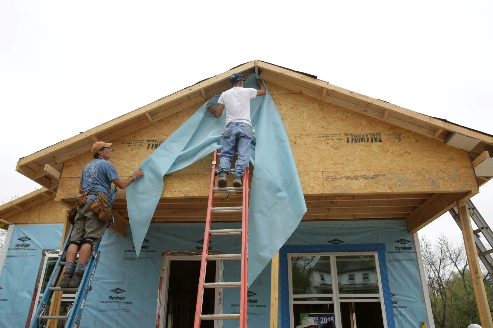 HABITAT.CEO.251 (Large).JPG