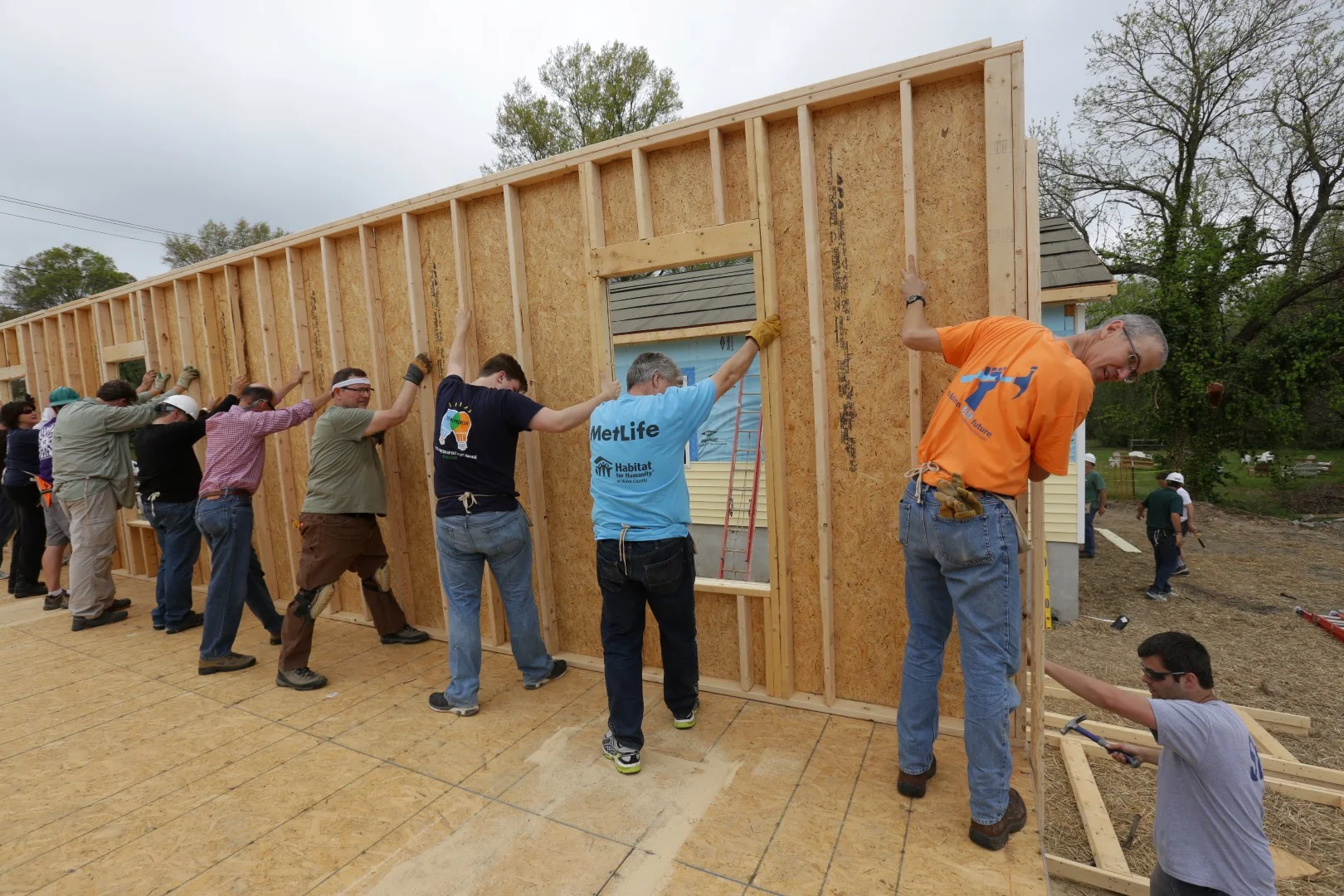 HABITAT.CEO.284 (Large).JPG