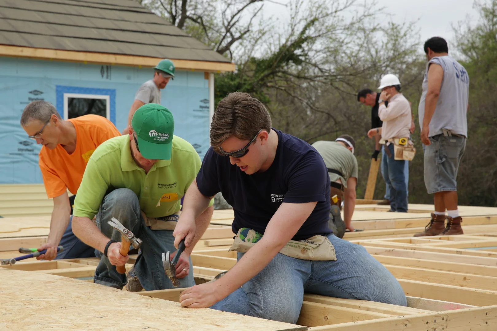 HABITAT.CEO.683 (Large).JPG