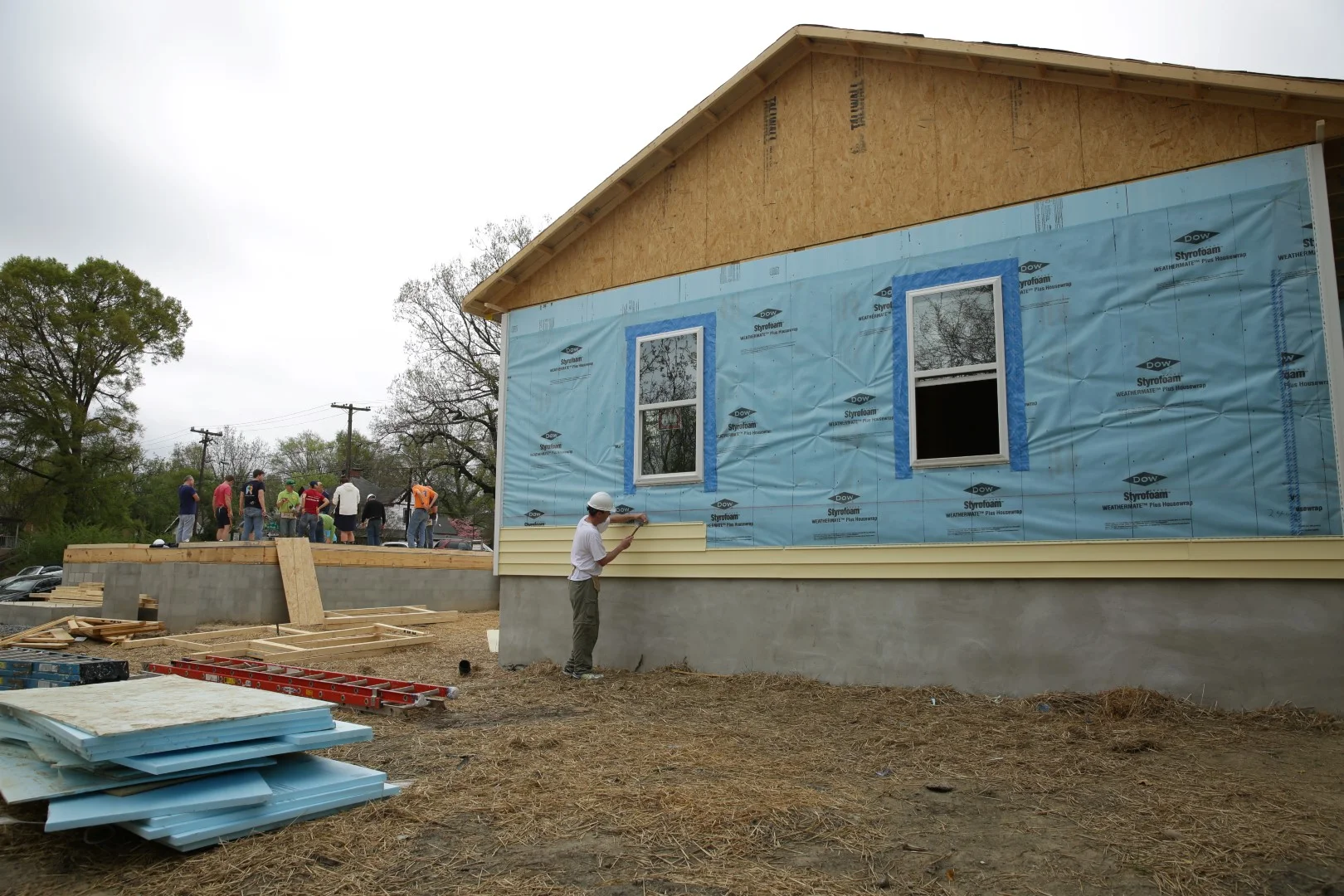 HABITAT.CEO.699 (Large).JPG