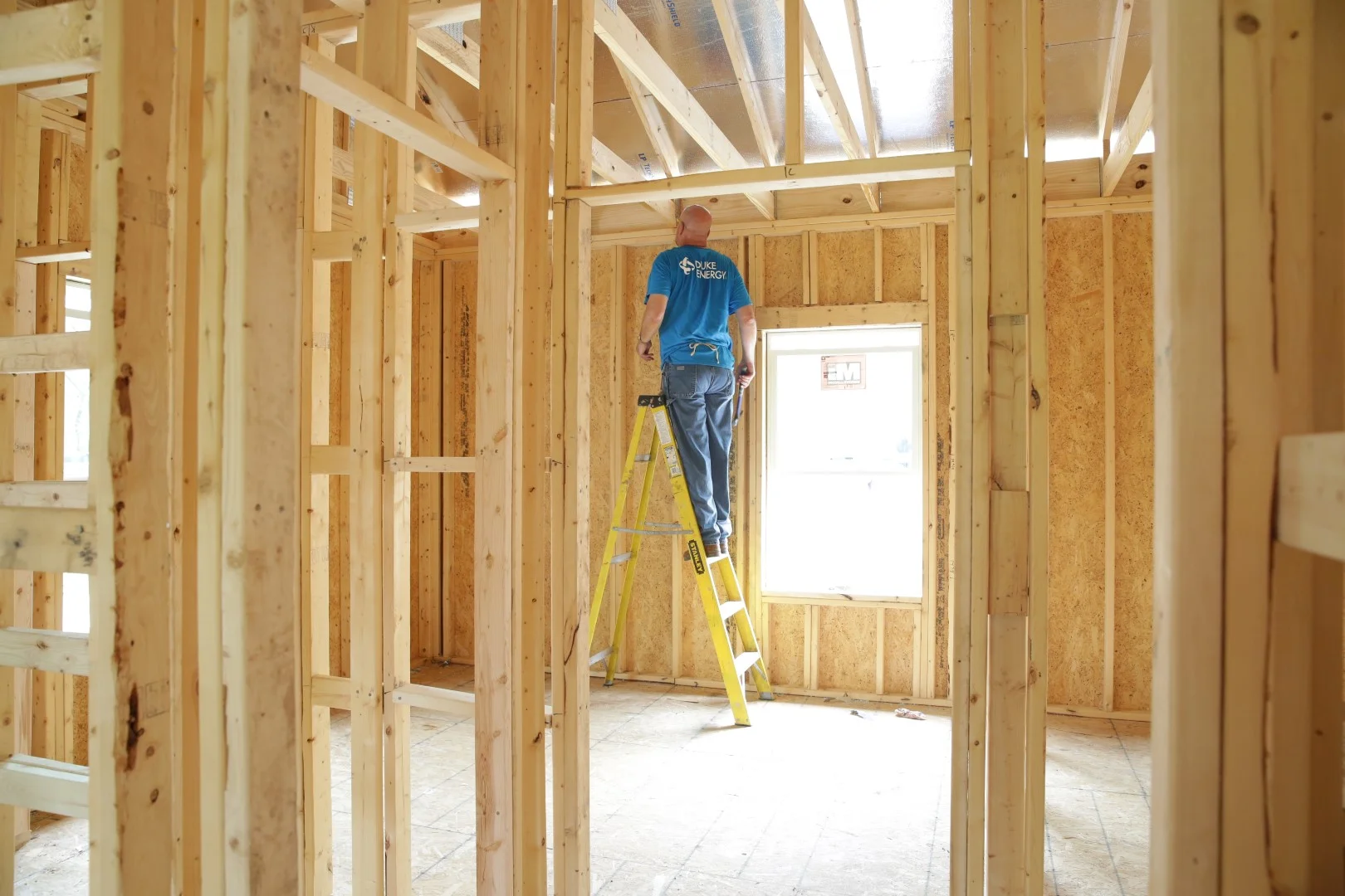 HABITAT.CEO.815 (Large).JPG