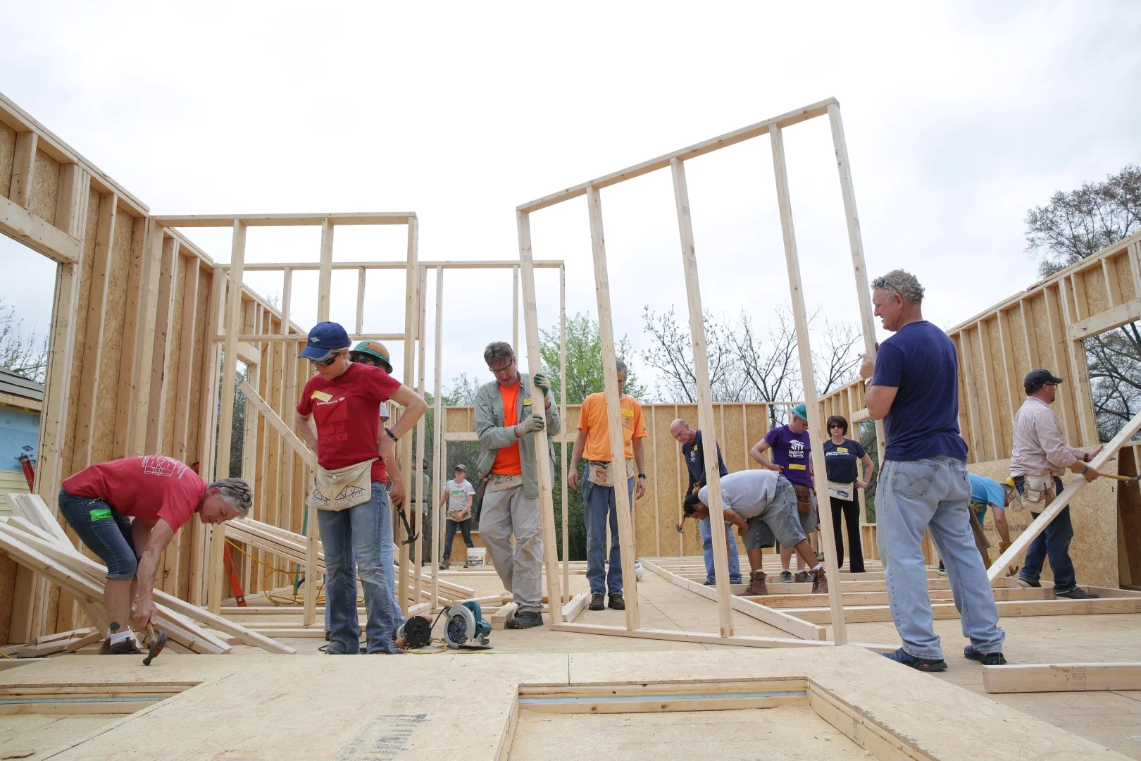 HABITAT.CEO.832 (Large).JPG