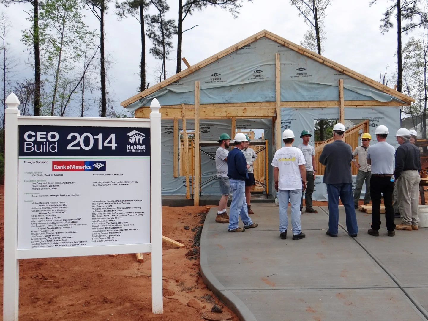 DSC07749 (Large).JPG