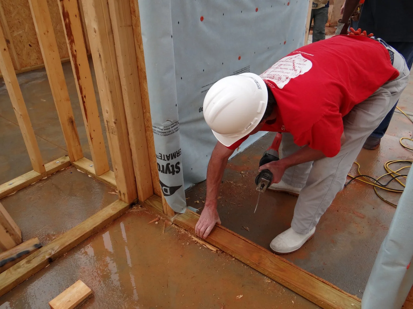 DSC07760 (Large).JPG