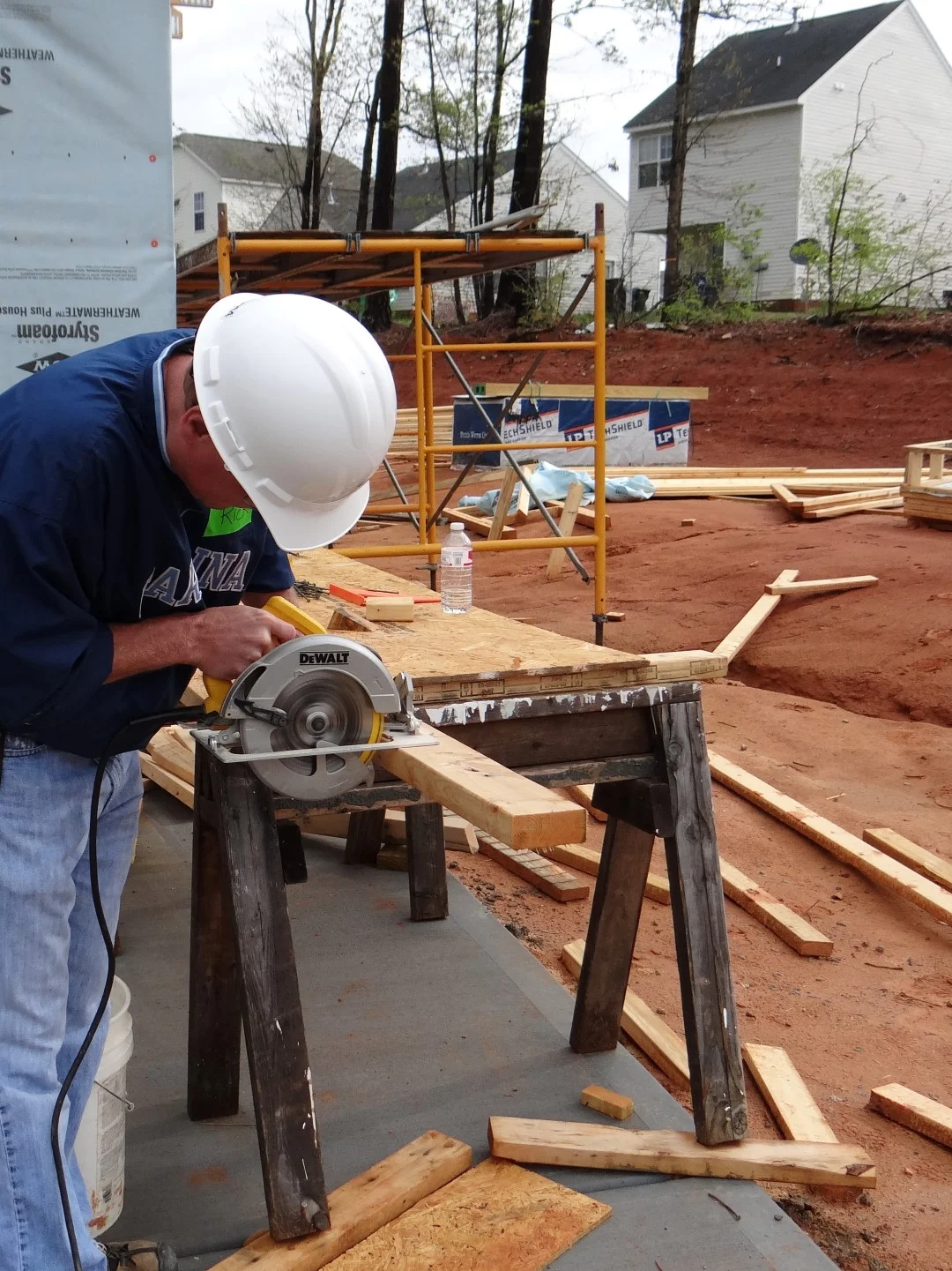 DSC07762 (Large).JPG