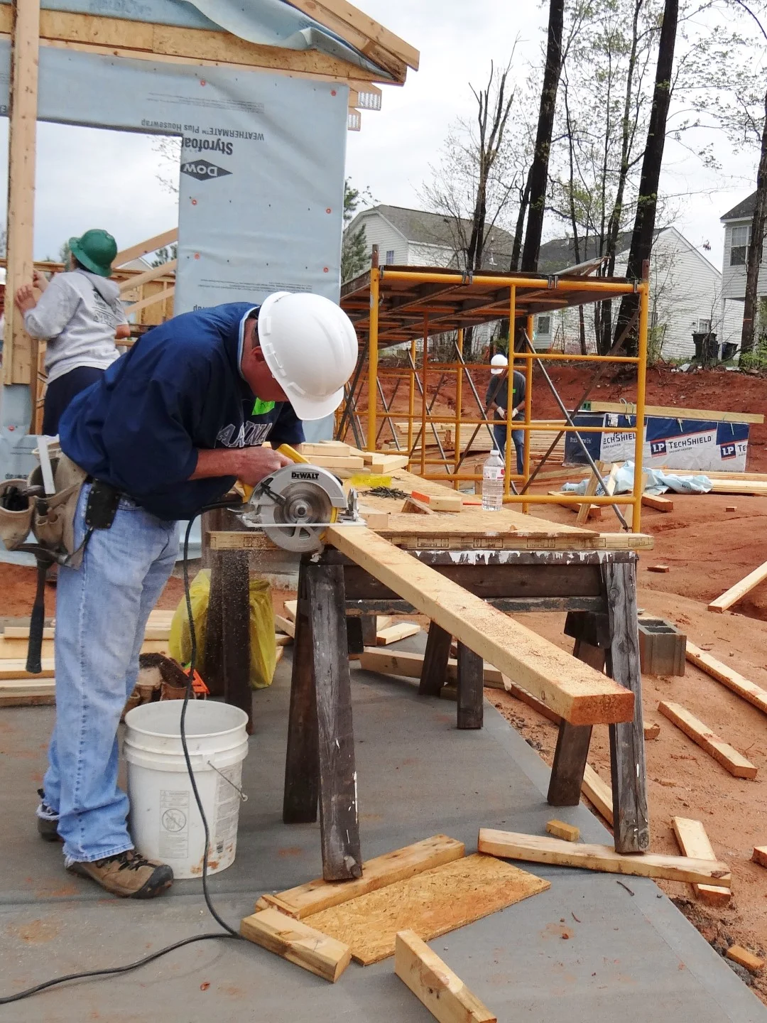 DSC07764 (Large).JPG