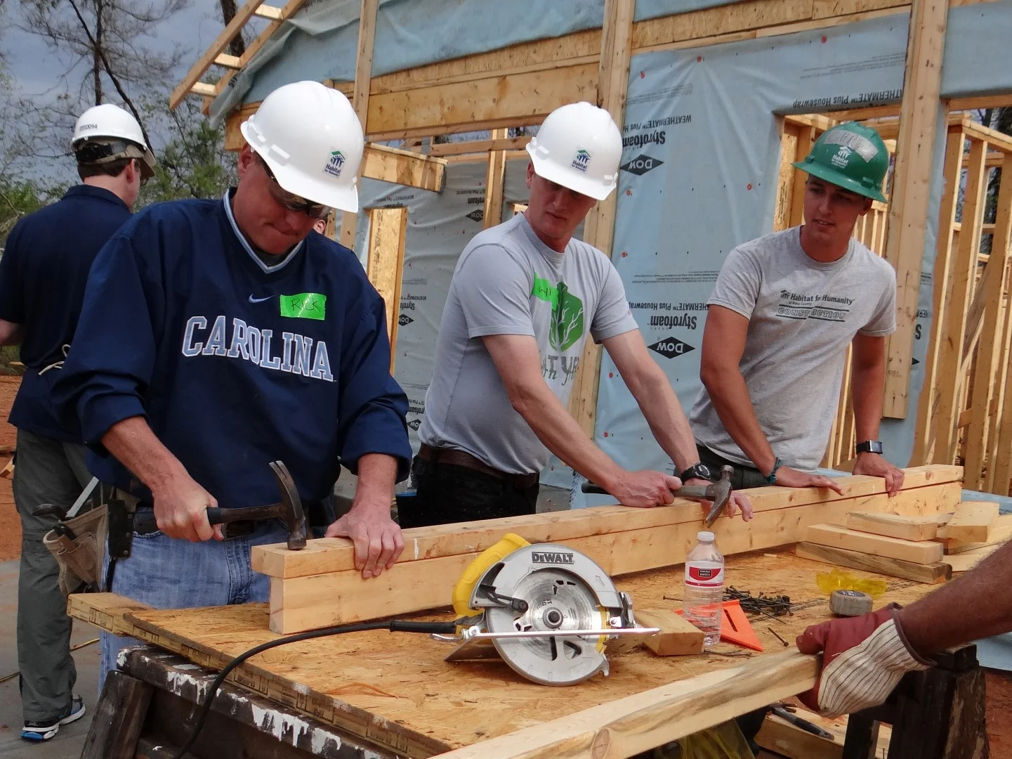 DSC07767 (Large).JPG