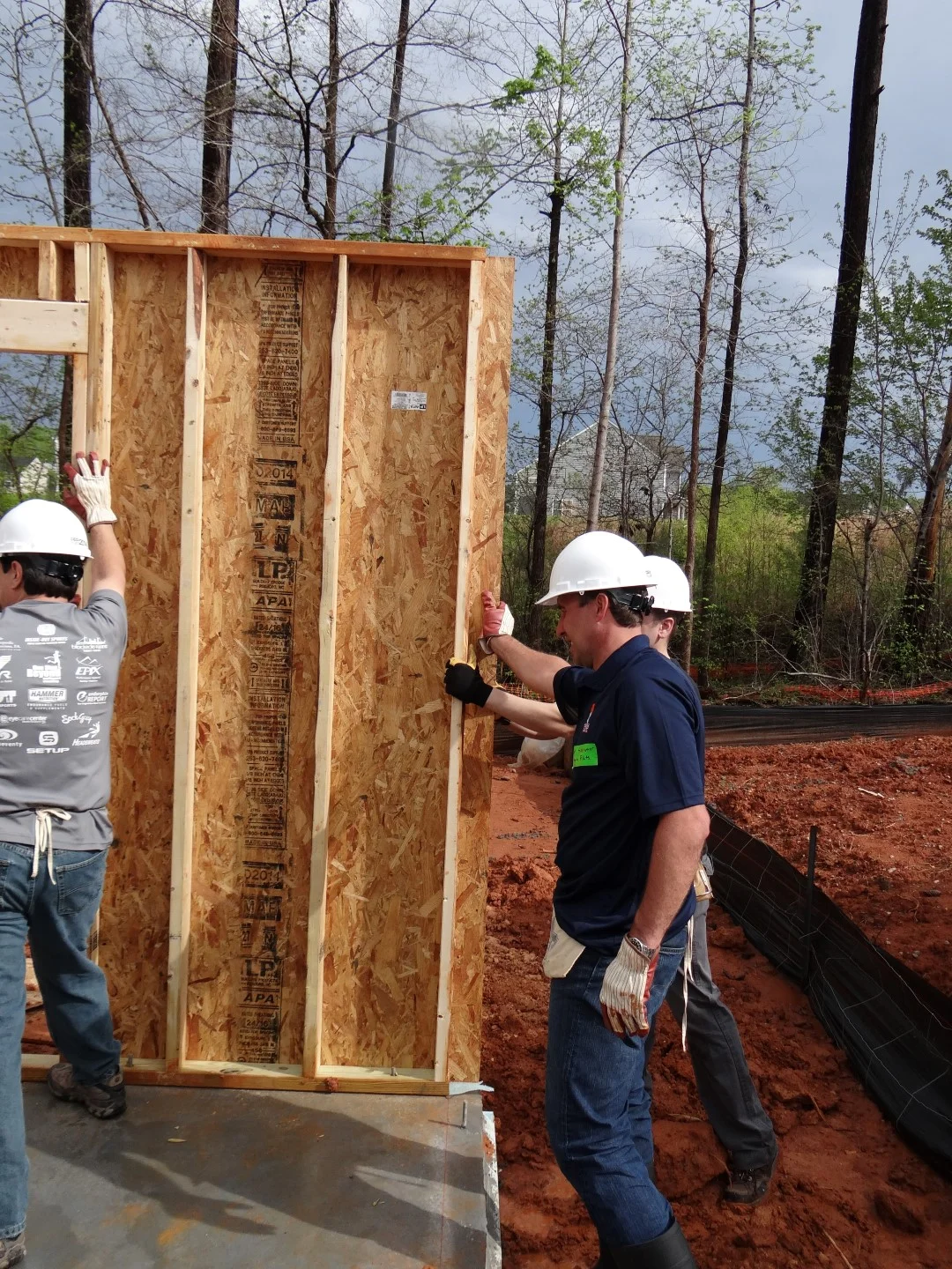 DSC07770 (Large).JPG