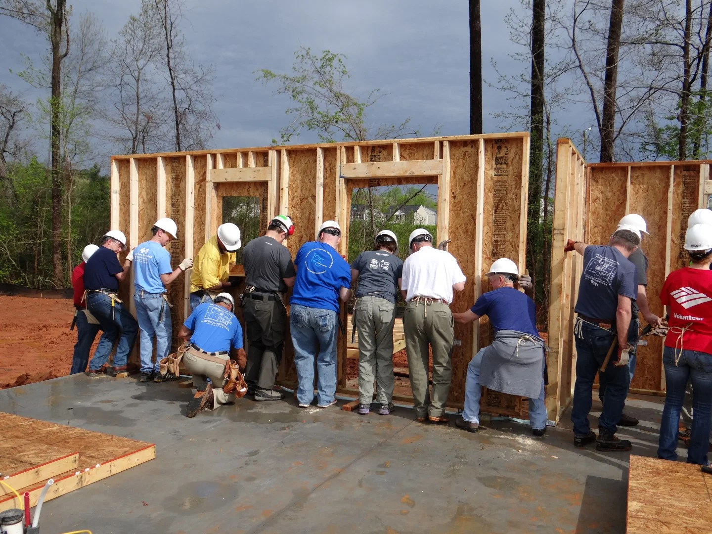 DSC07774 (Large).JPG