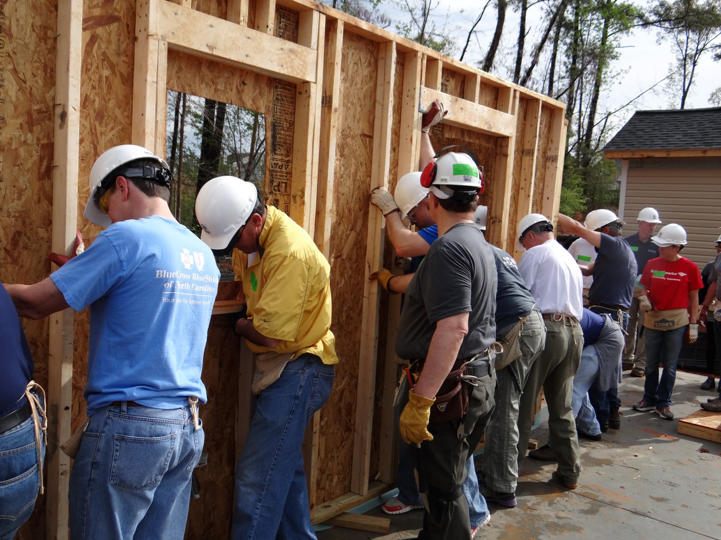 DSC07775 (Large).JPG