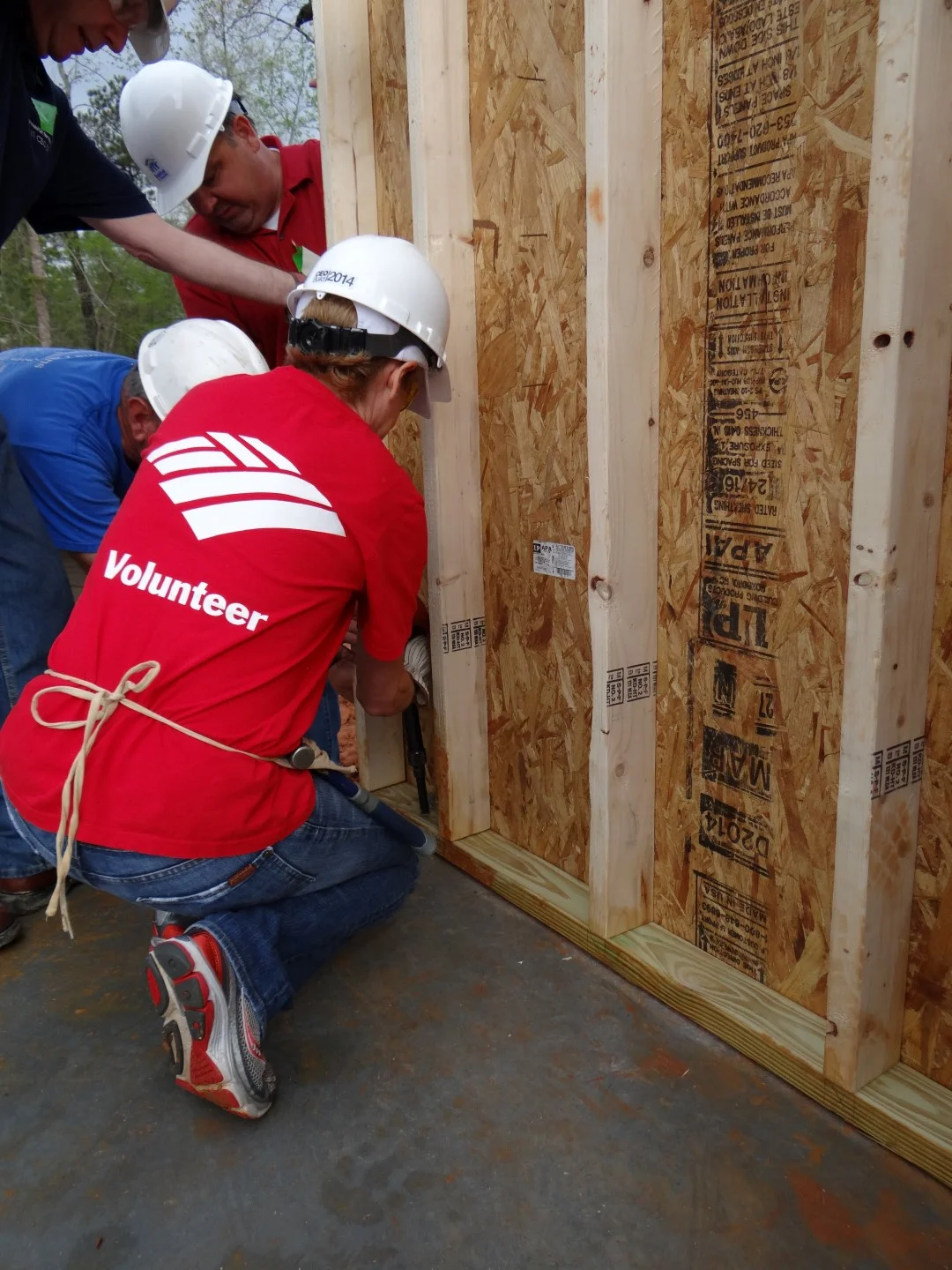 DSC07781 (Large).JPG