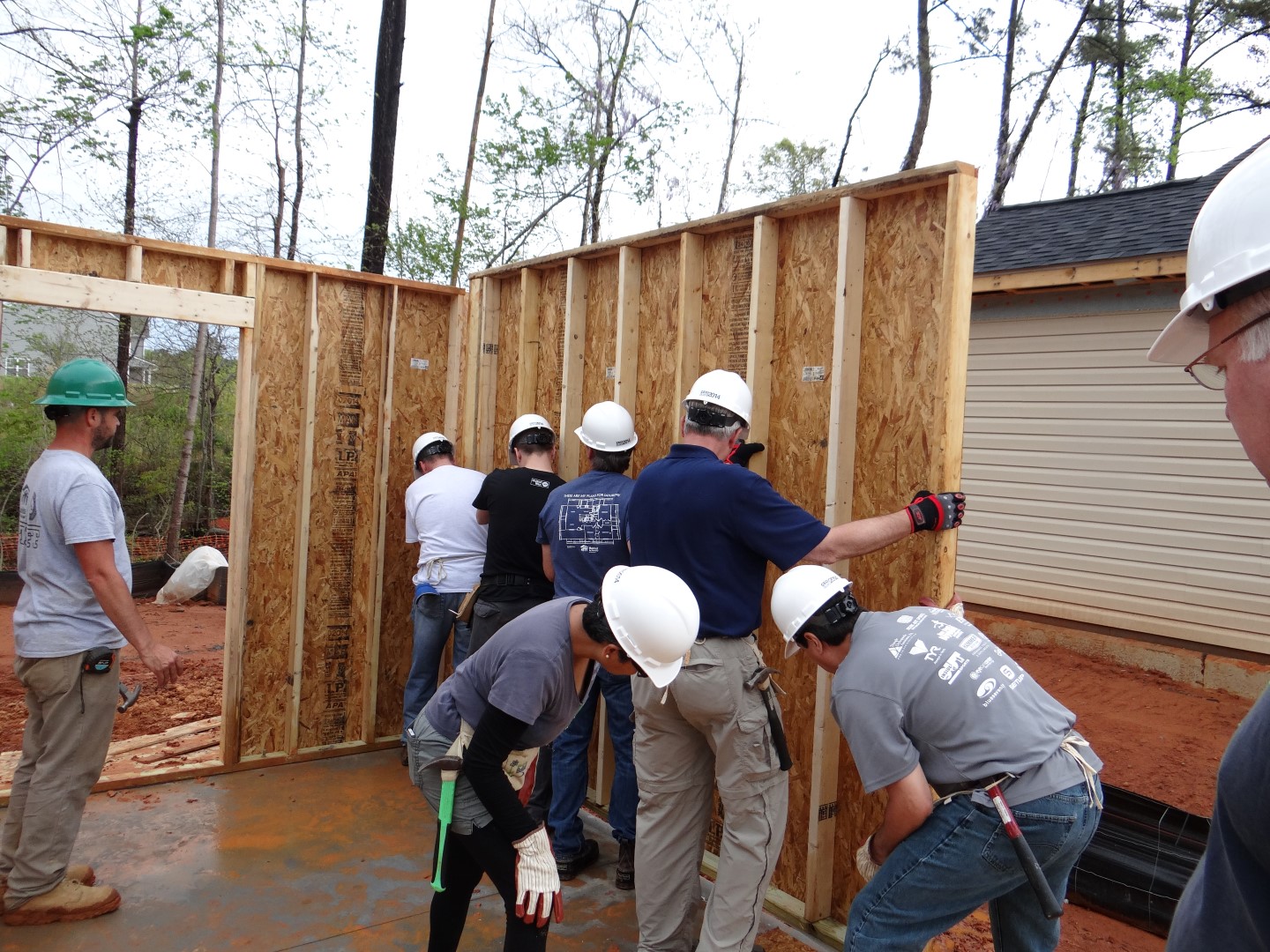 DSC07785 (Large).JPG