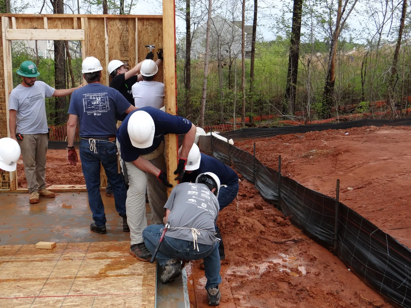 DSC07786 (Large).JPG