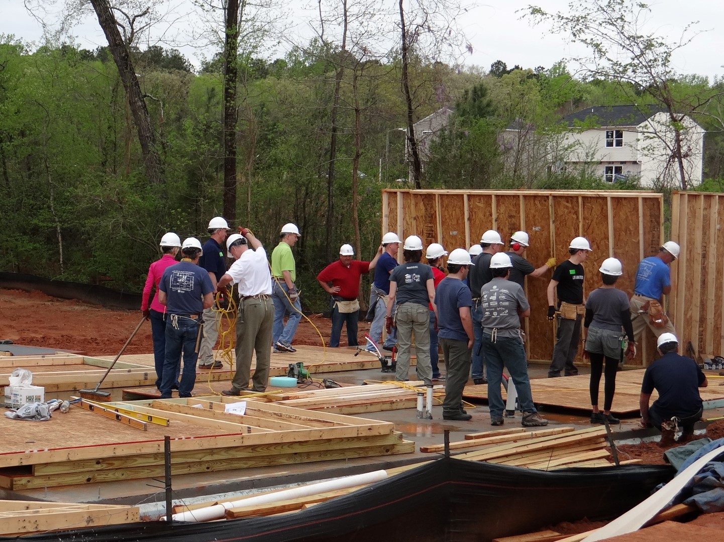 DSC07788 (Large).JPG