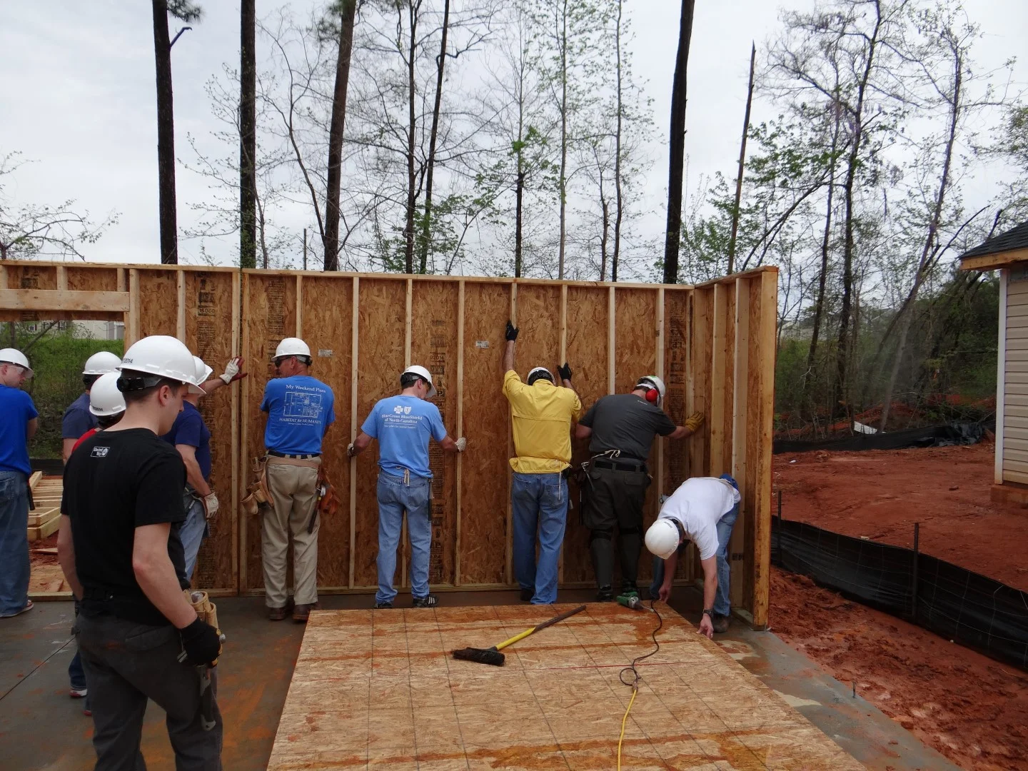 DSC07791 (Large).JPG