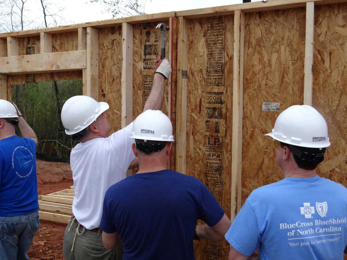 DSC07801 (Large).JPG