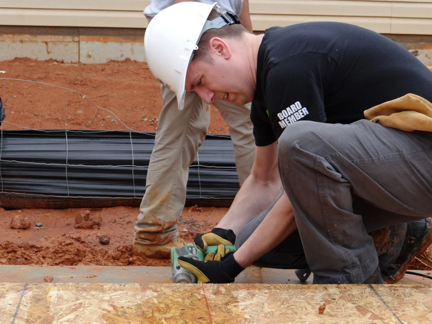 DSC07798 (Large).JPG