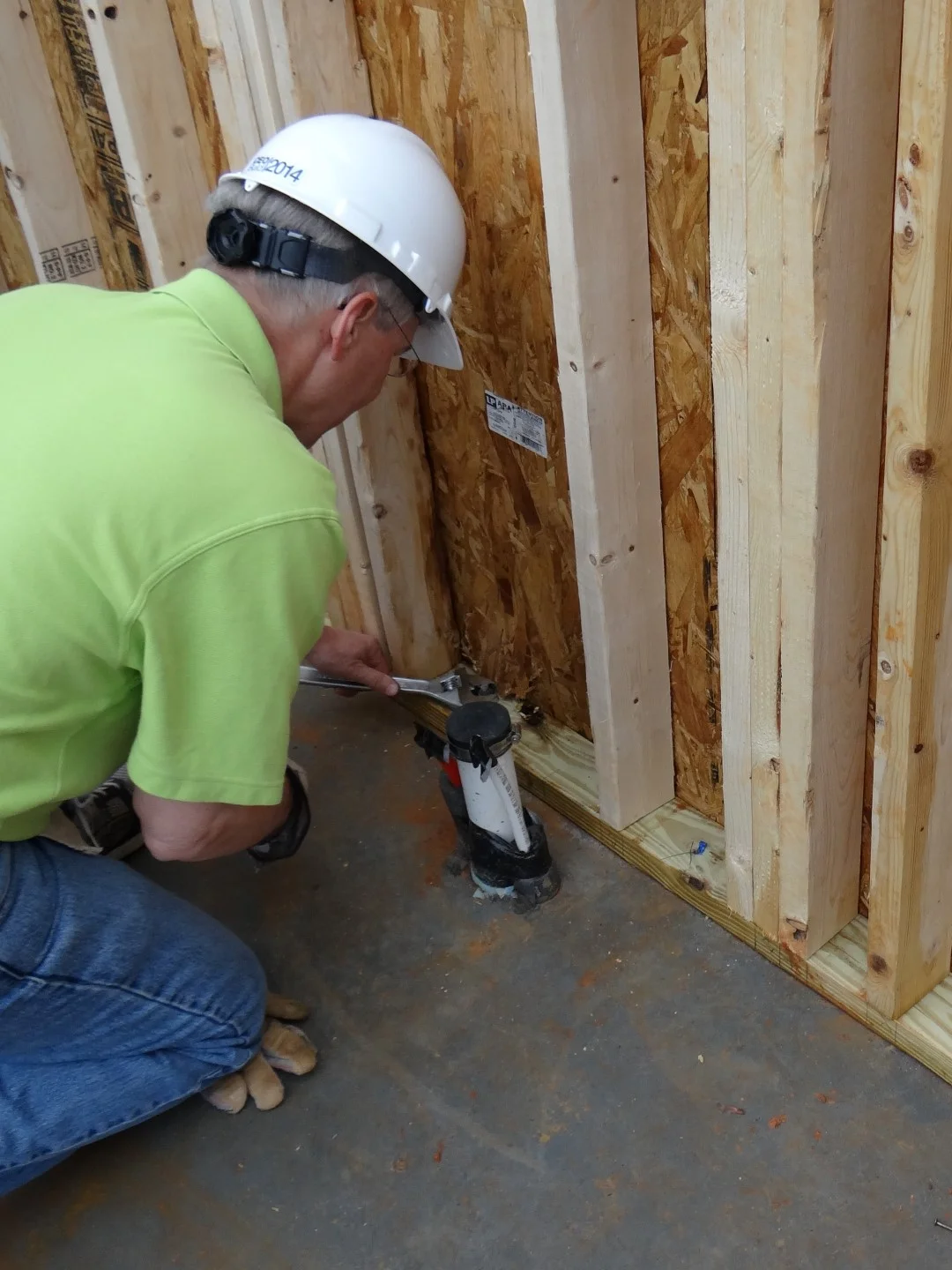 DSC07810 (Large).JPG