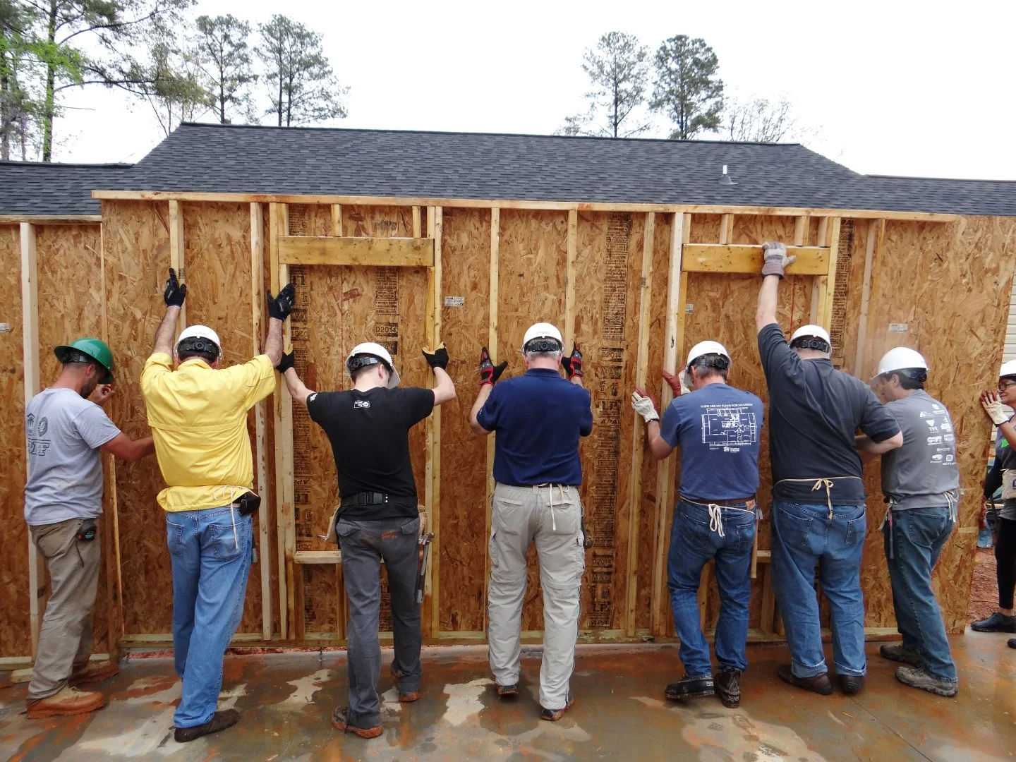 DSC07808 (Large).JPG