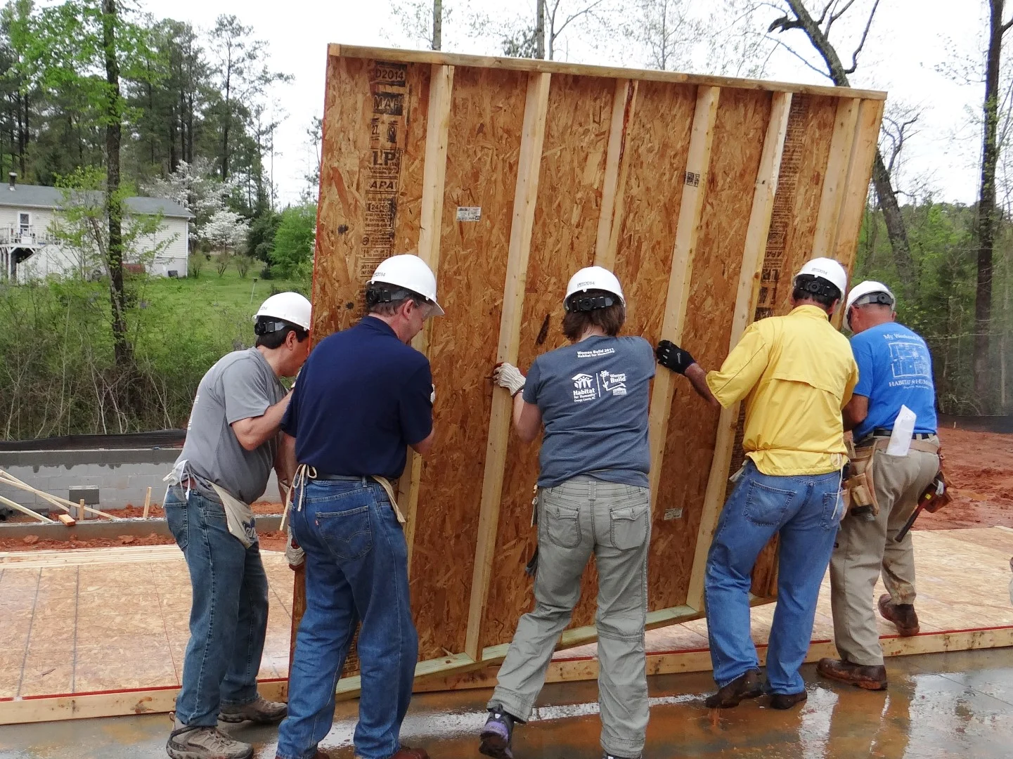 DSC07818 (Large).JPG