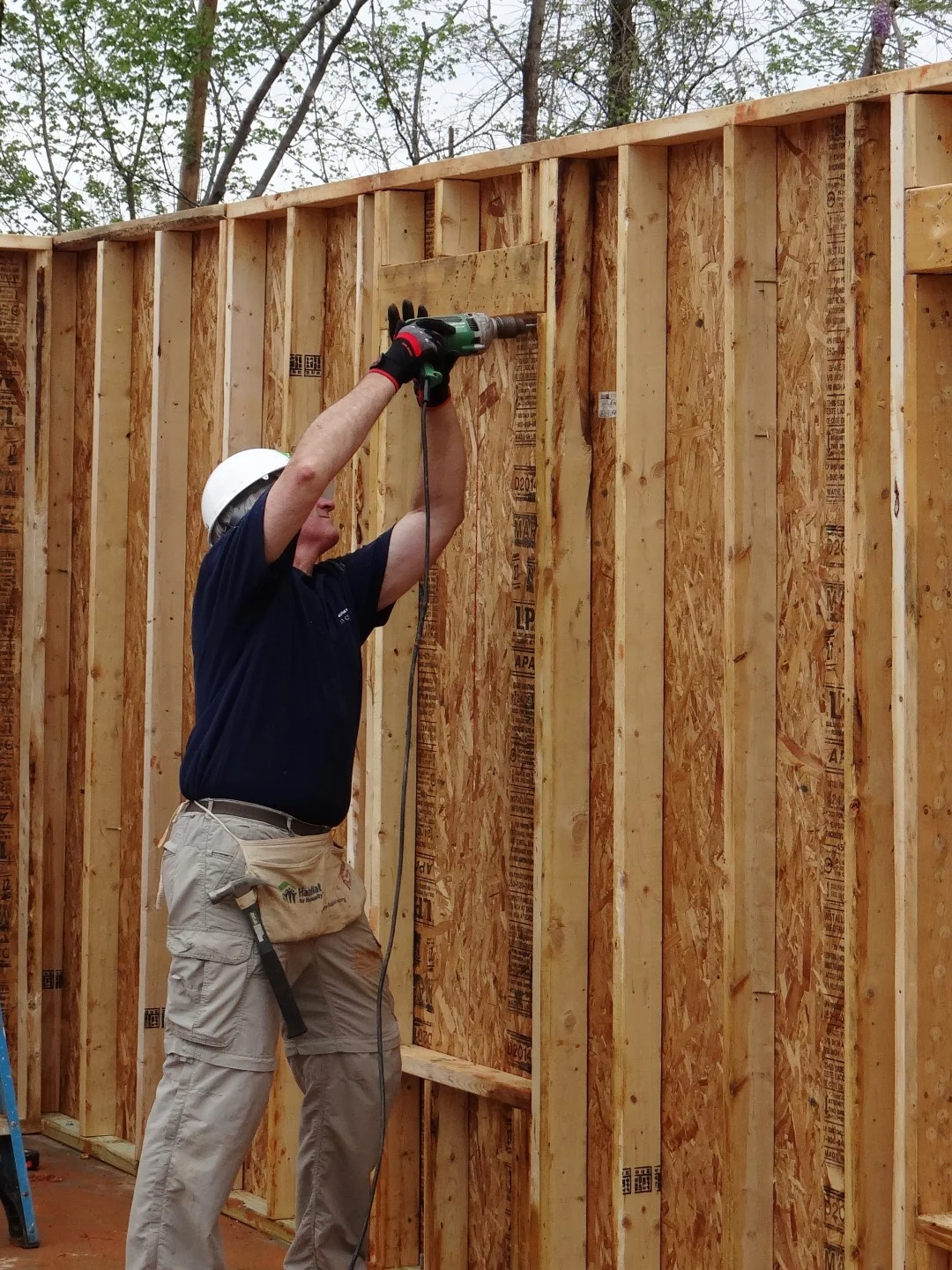 DSC07821 (Large).JPG