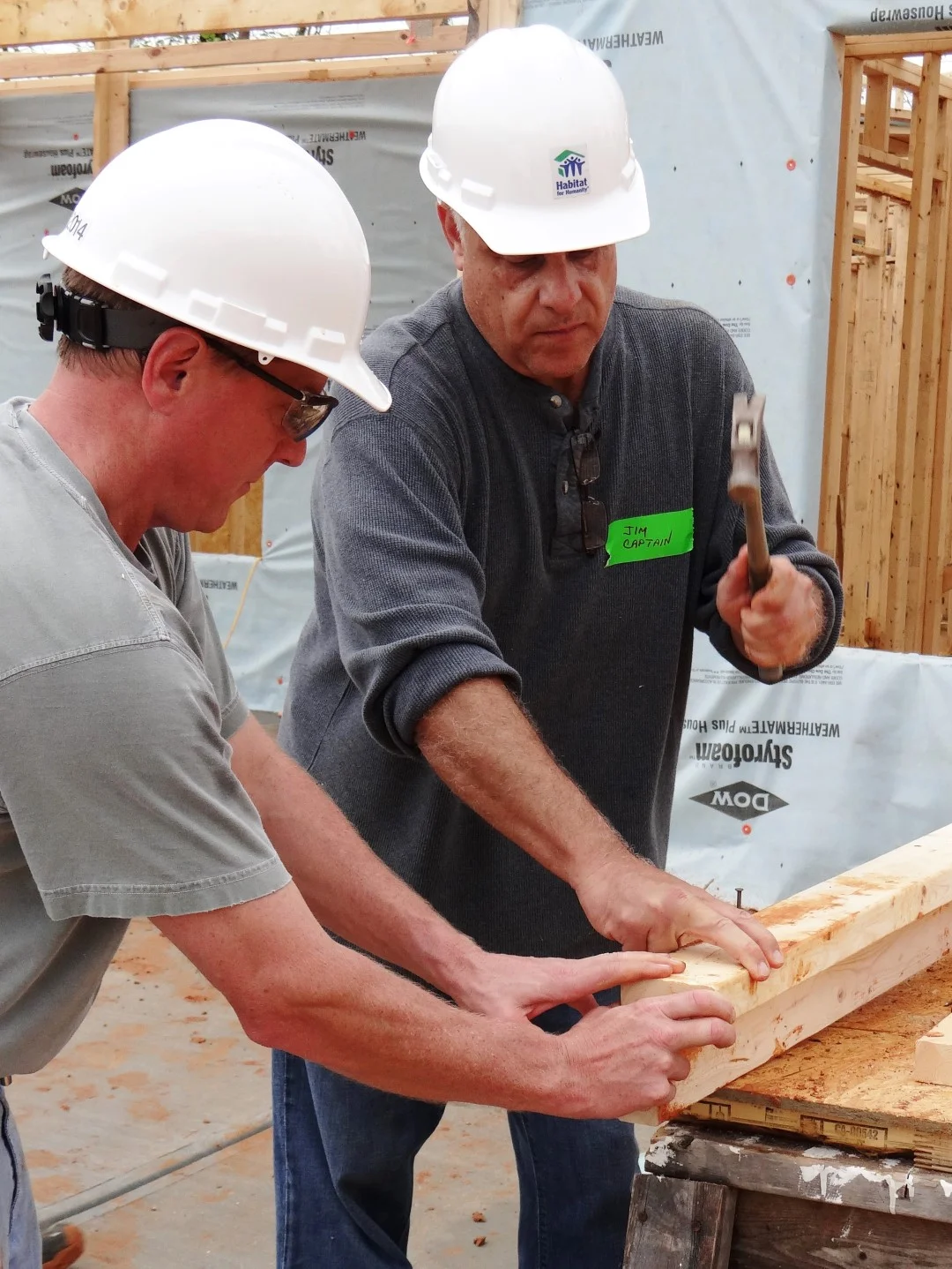 DSC07826 (Large).JPG