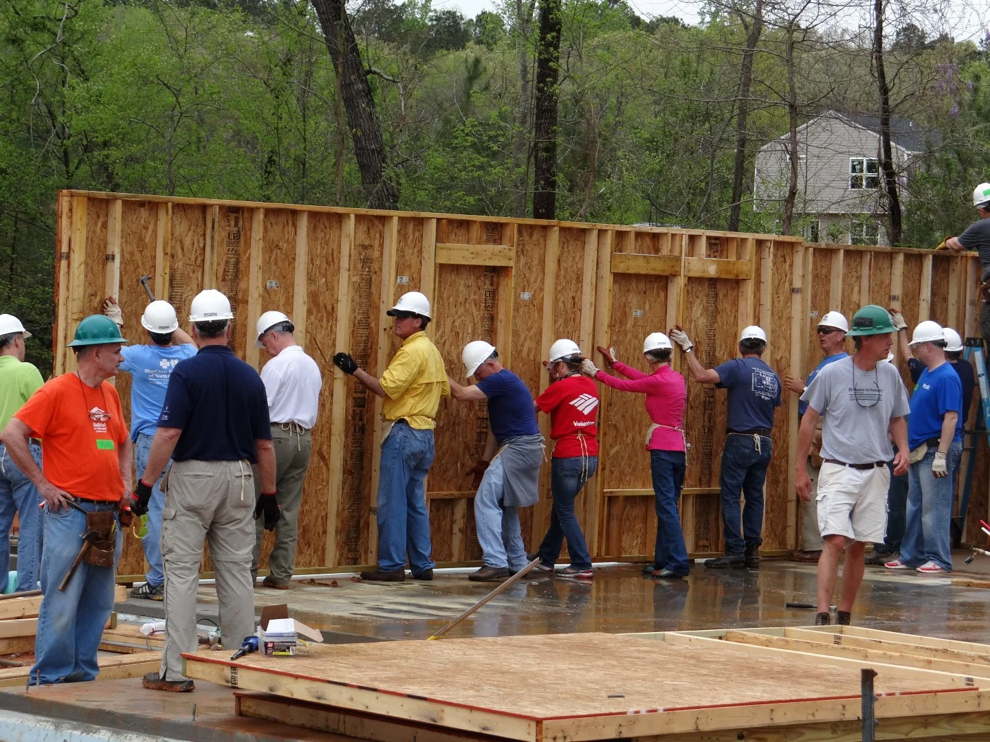 DSC07828 (Large).JPG