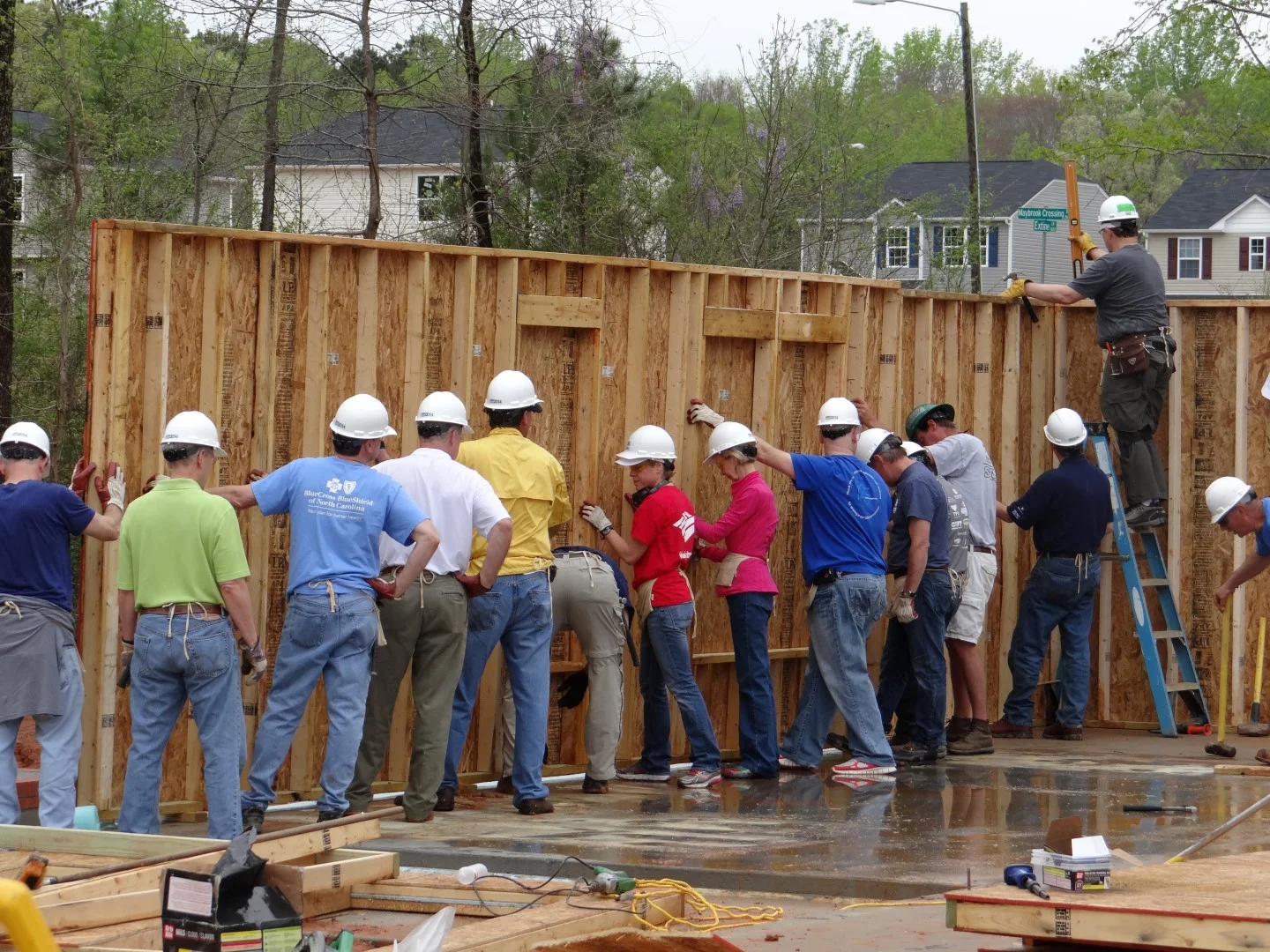 DSC07831 (Large).JPG