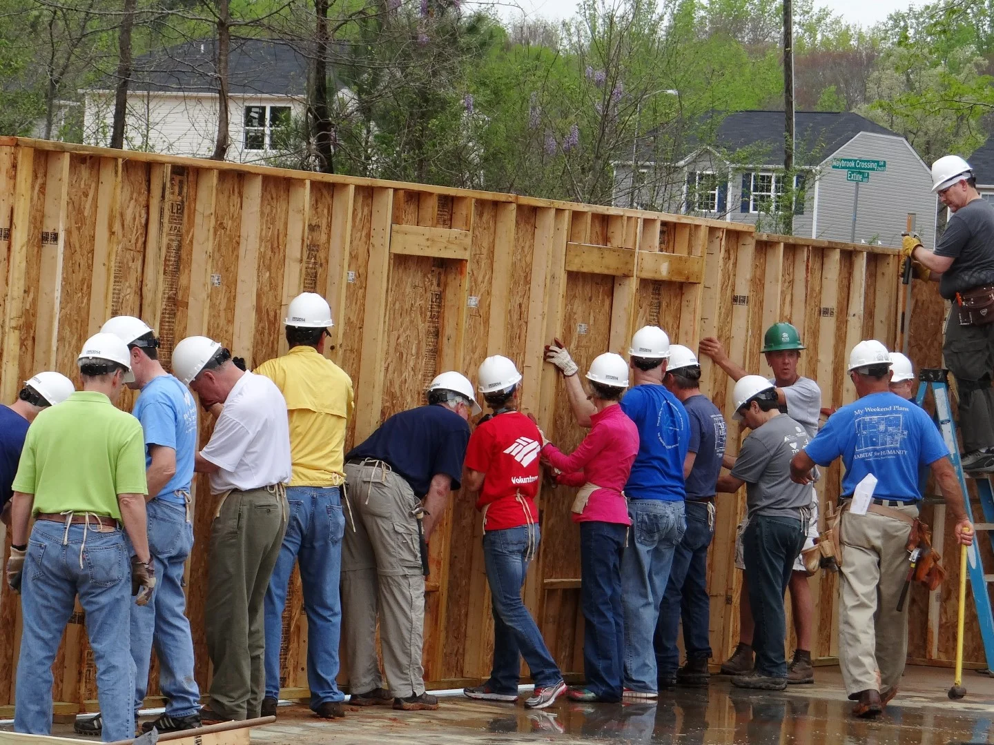 DSC07832 (Large).JPG