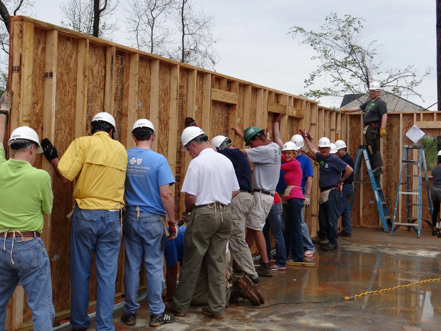 DSC07834 (Large).JPG