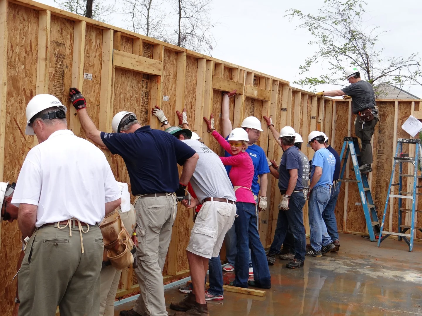 DSC07835 (Large).JPG