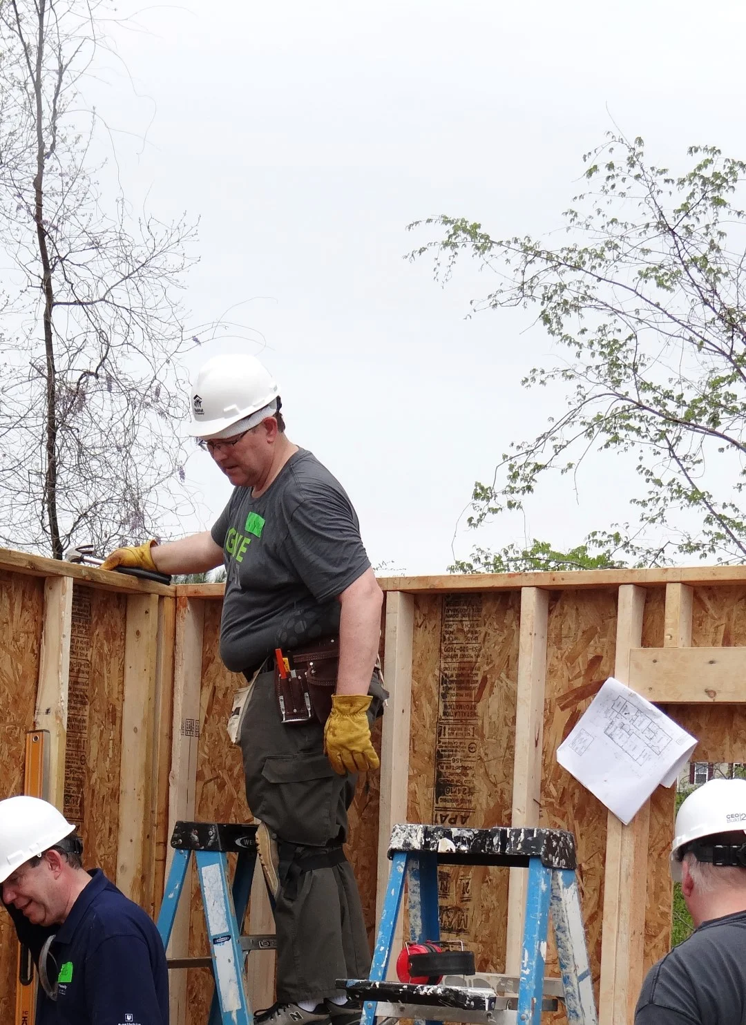 DSC07837 (Large).JPG