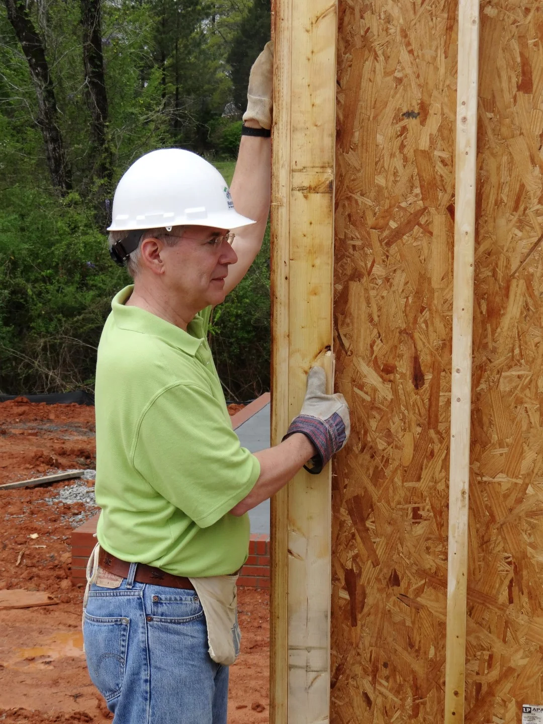 DSC07845 (Large).JPG