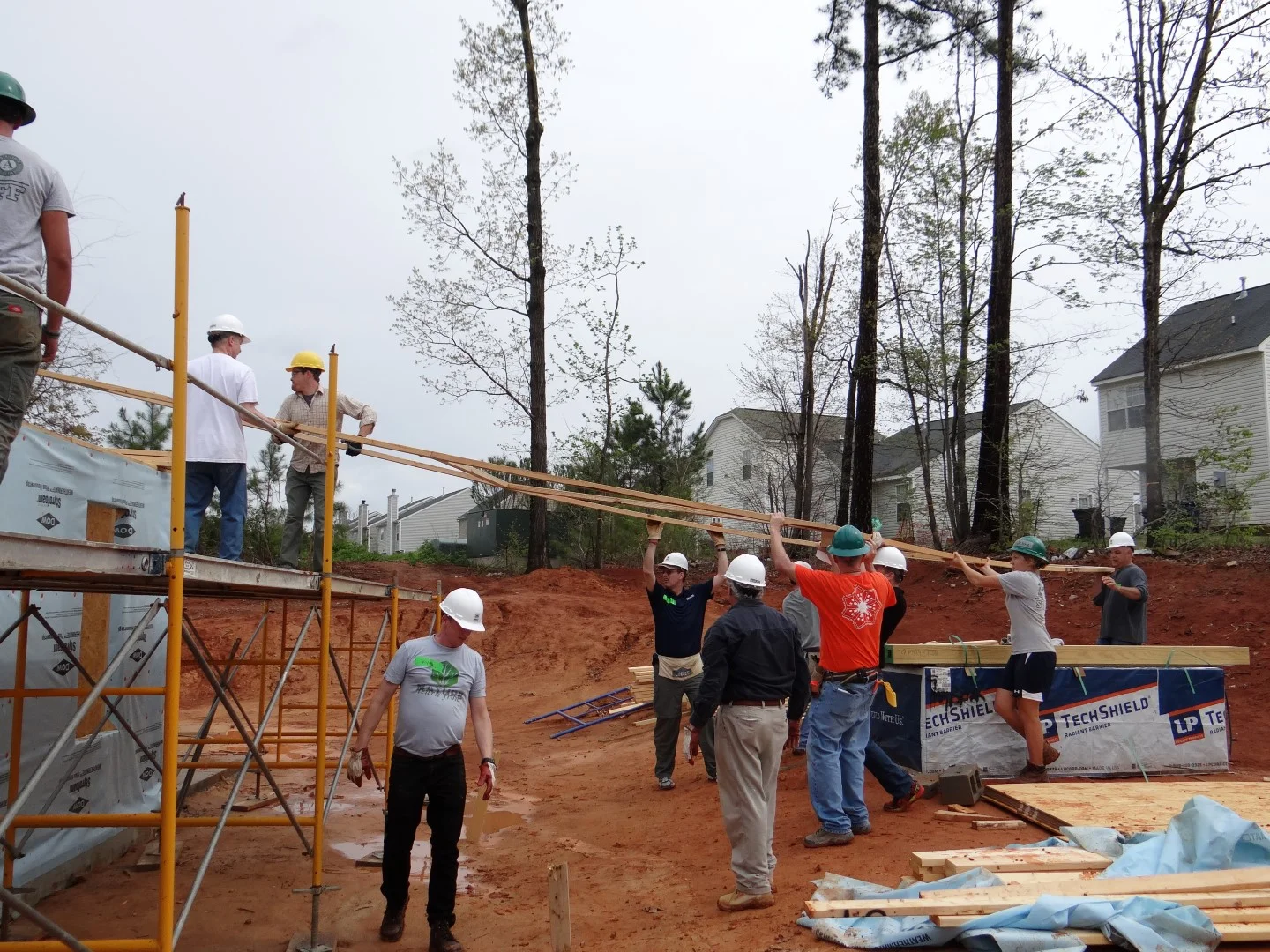 DSC07851 (Large).JPG