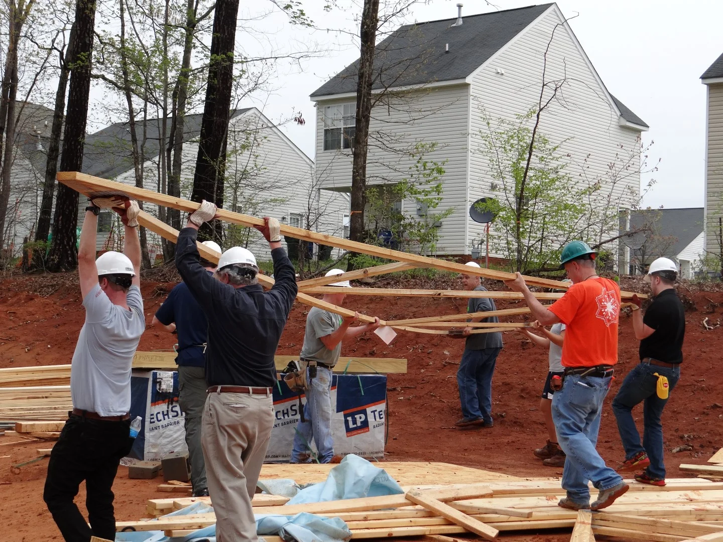 DSC07850 (Large).JPG