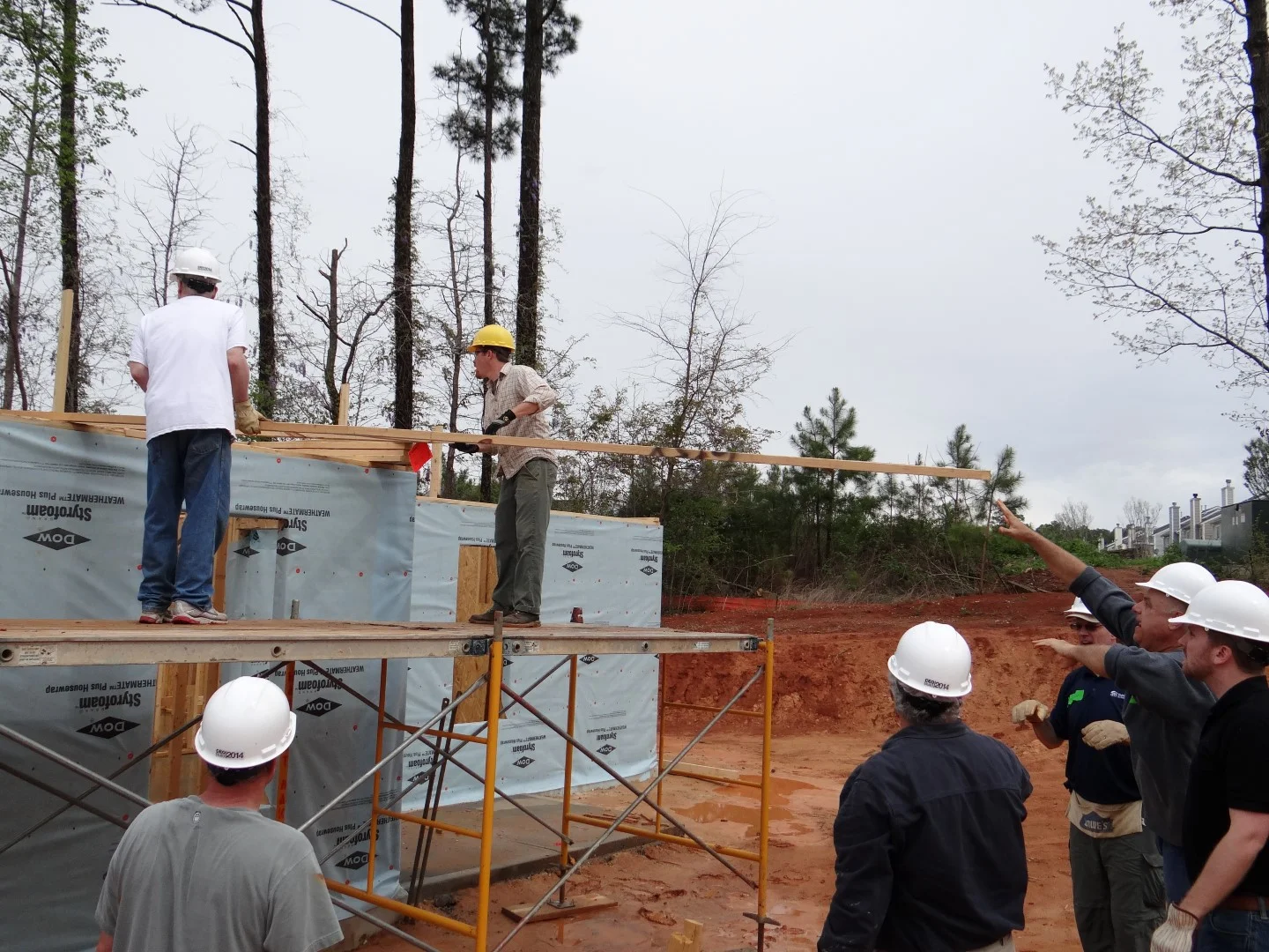 DSC07852 (Large).JPG