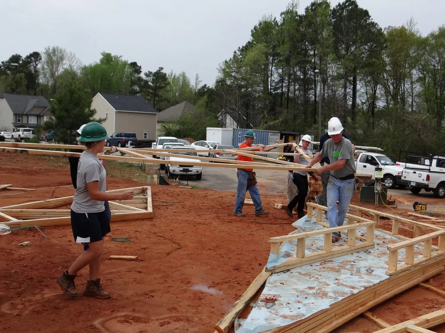 DSC07855 (Large).JPG