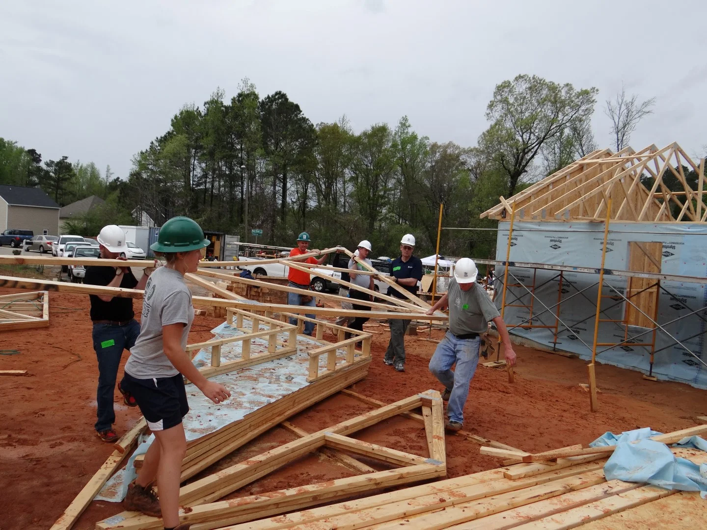 DSC07856 (Large).JPG