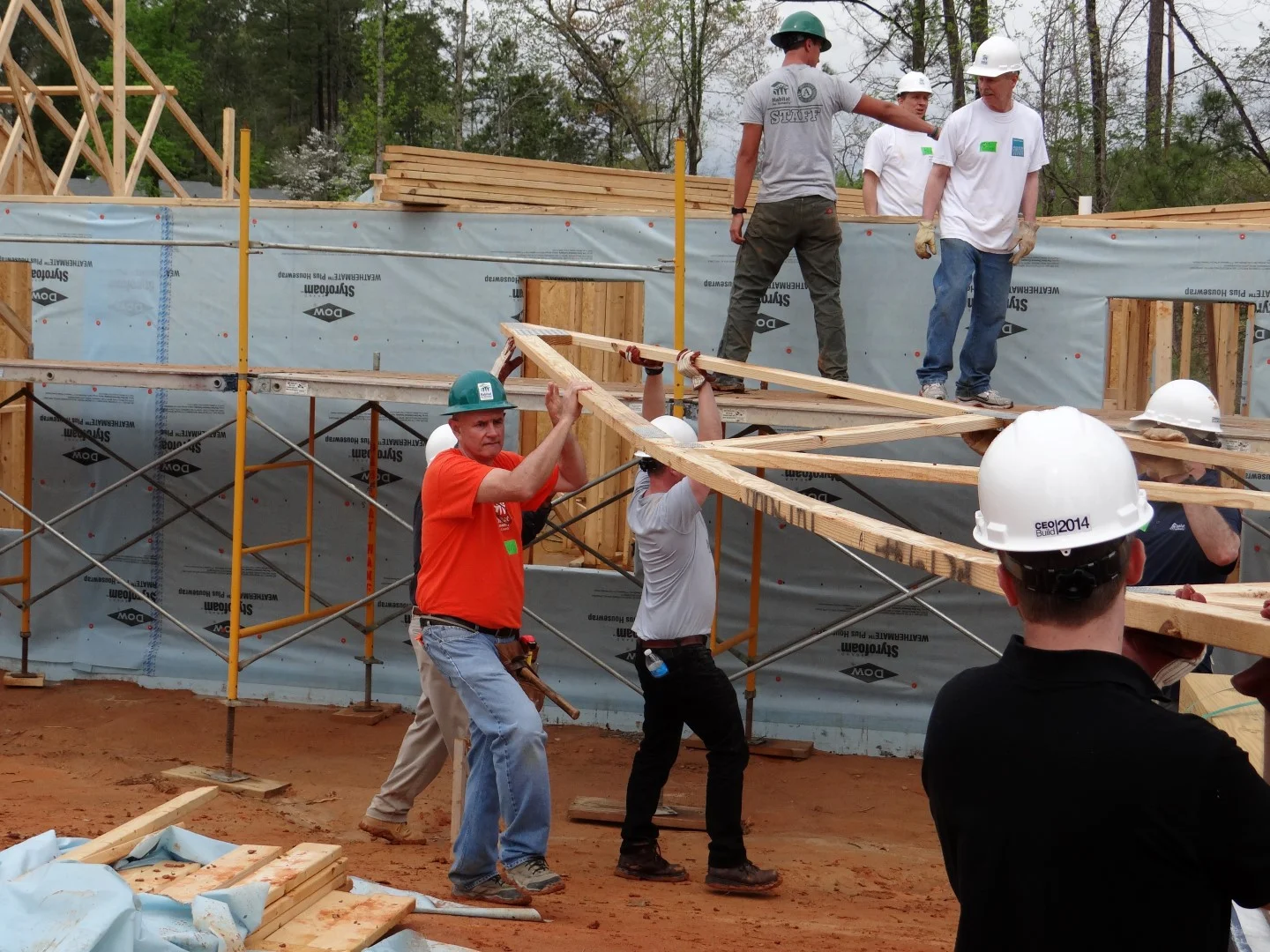 DSC07857 (Large).JPG