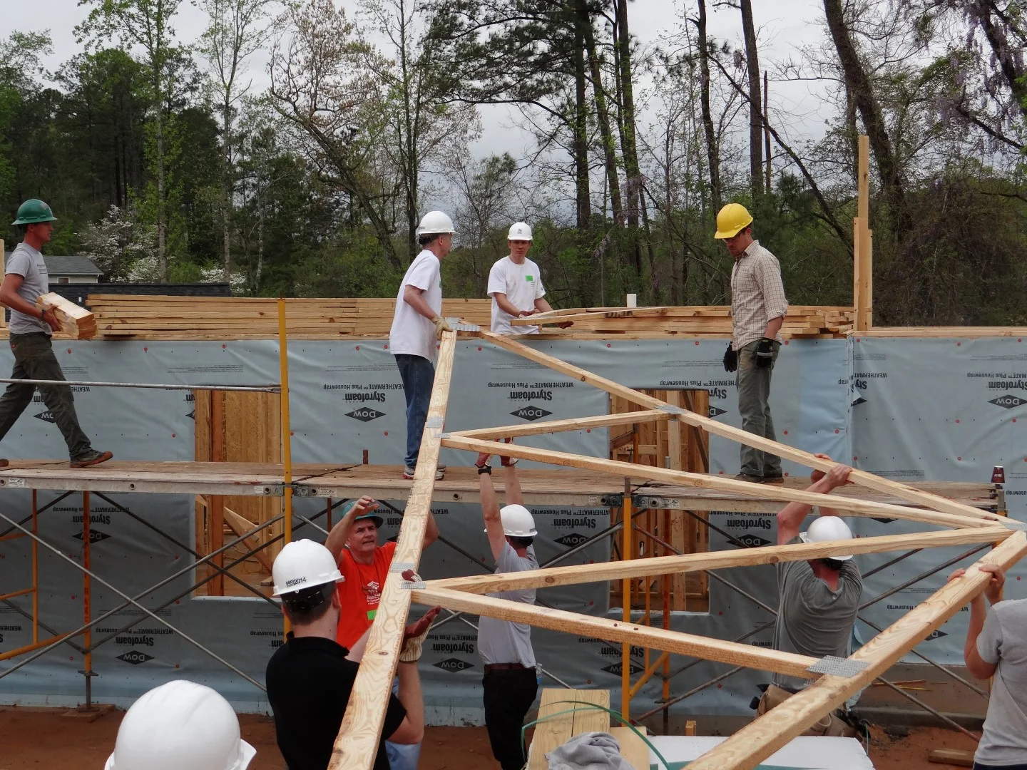 DSC07859 (Large).JPG